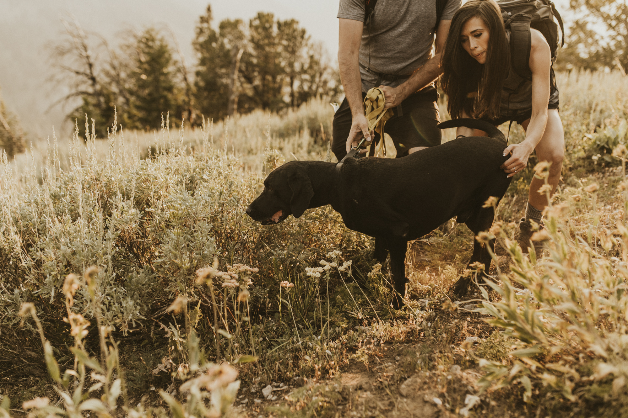 summer mountain engagement photos