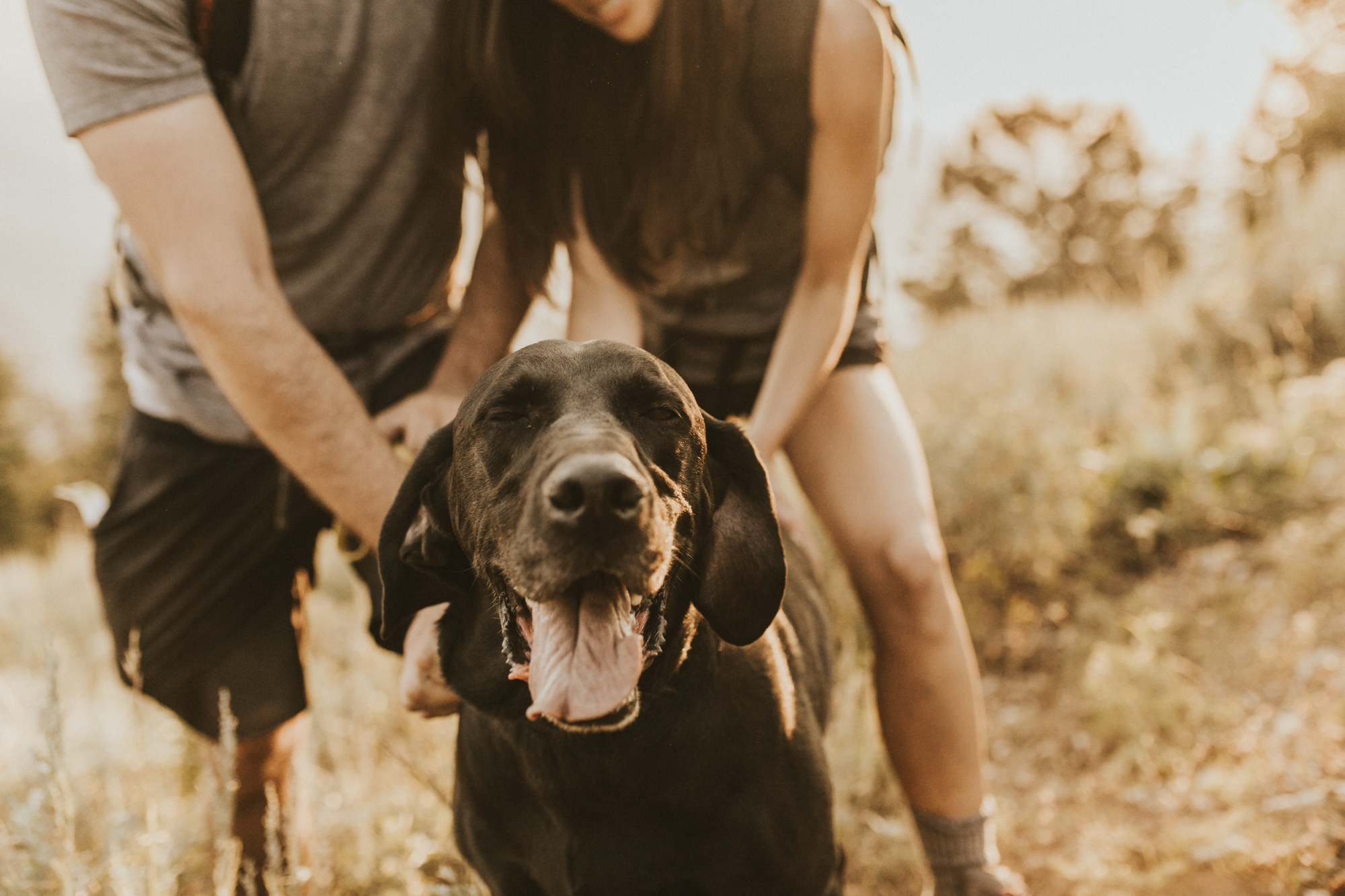 summer mountain engagement photos