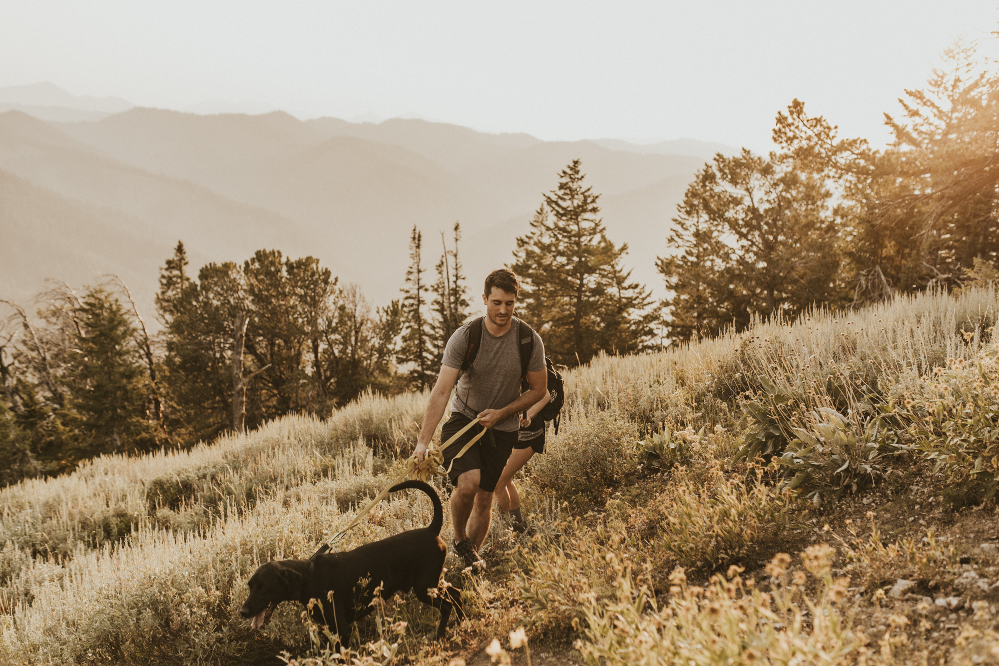 summer mountain engagement photos
