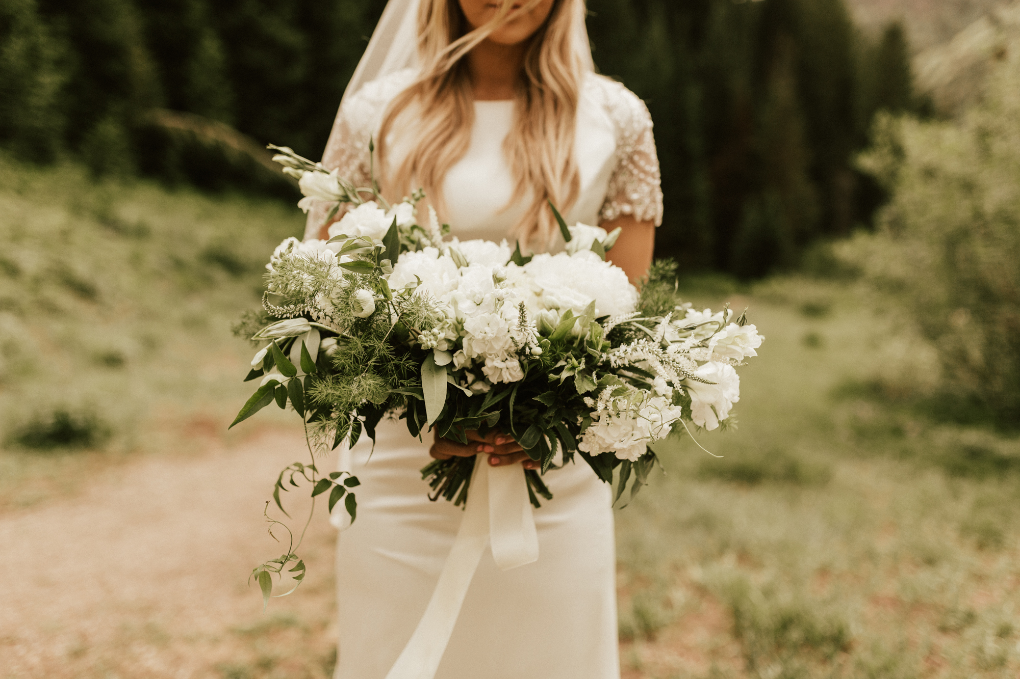 mountain forest bridal photos