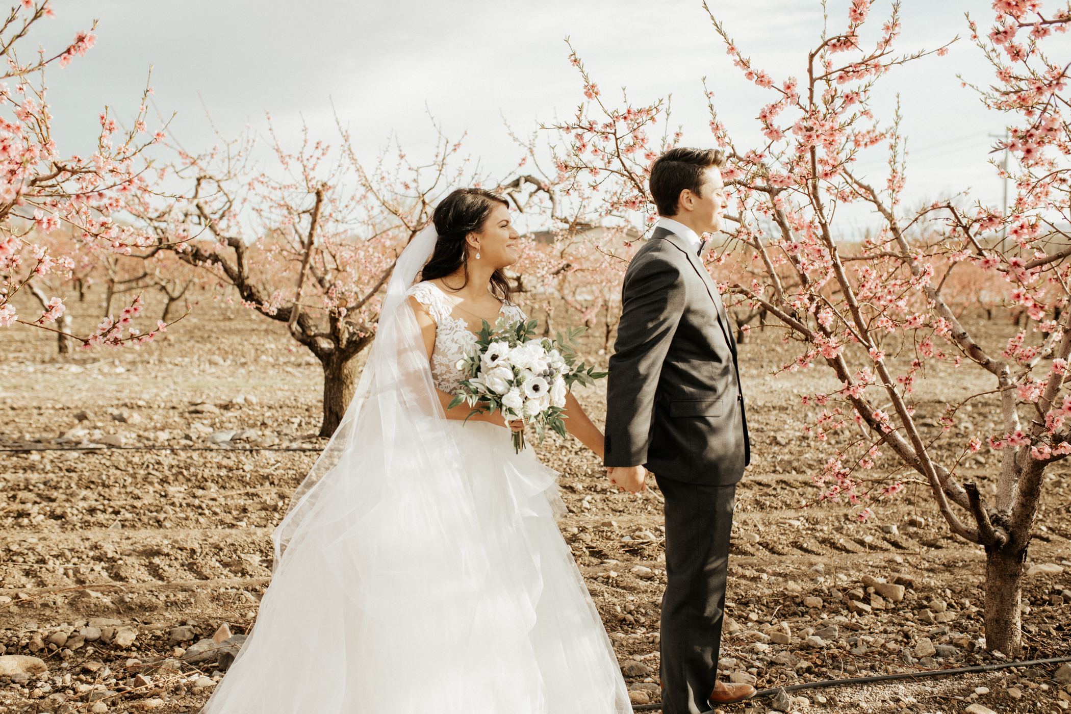 Spring orchard wedding photos