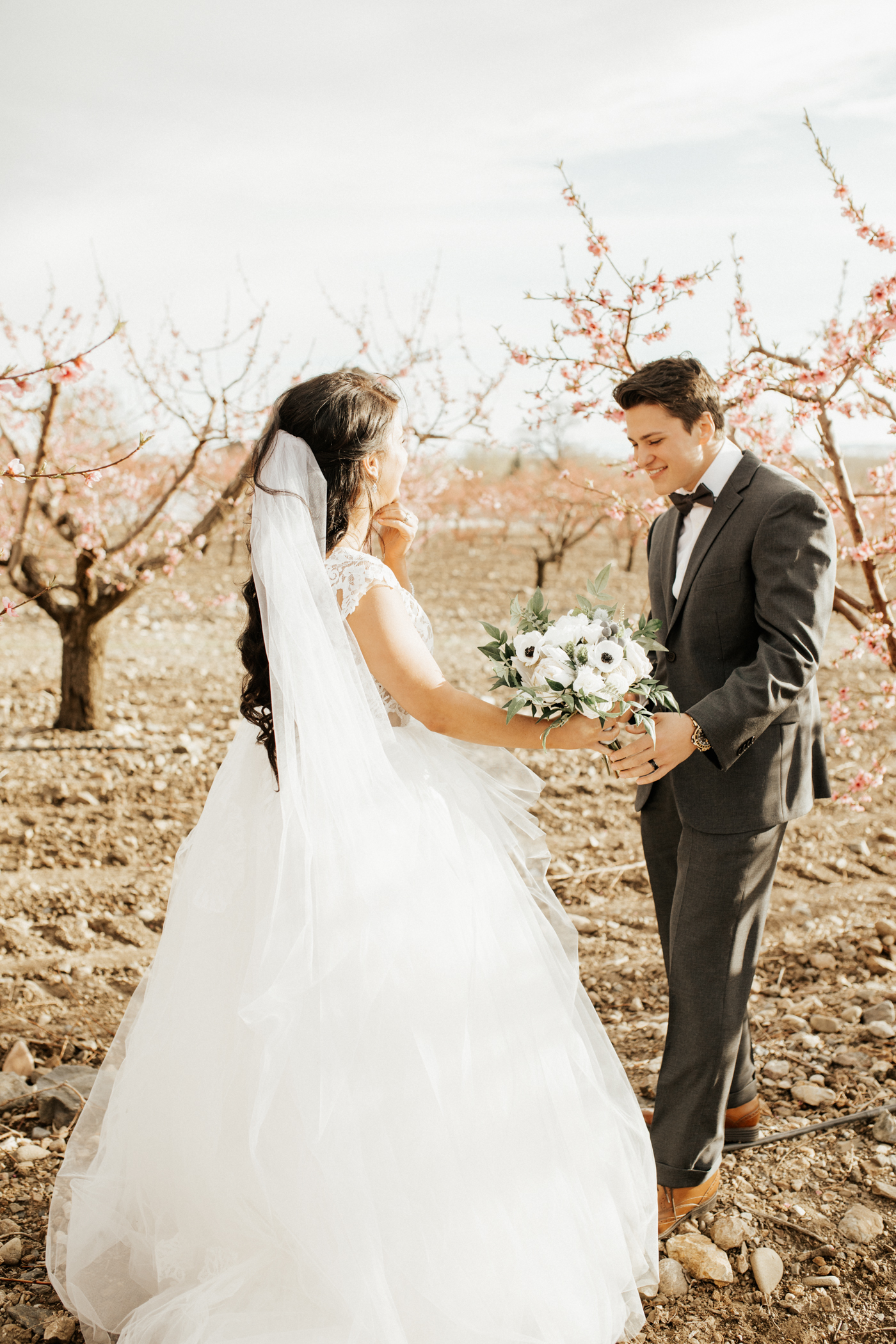 Spring orchard wedding photos