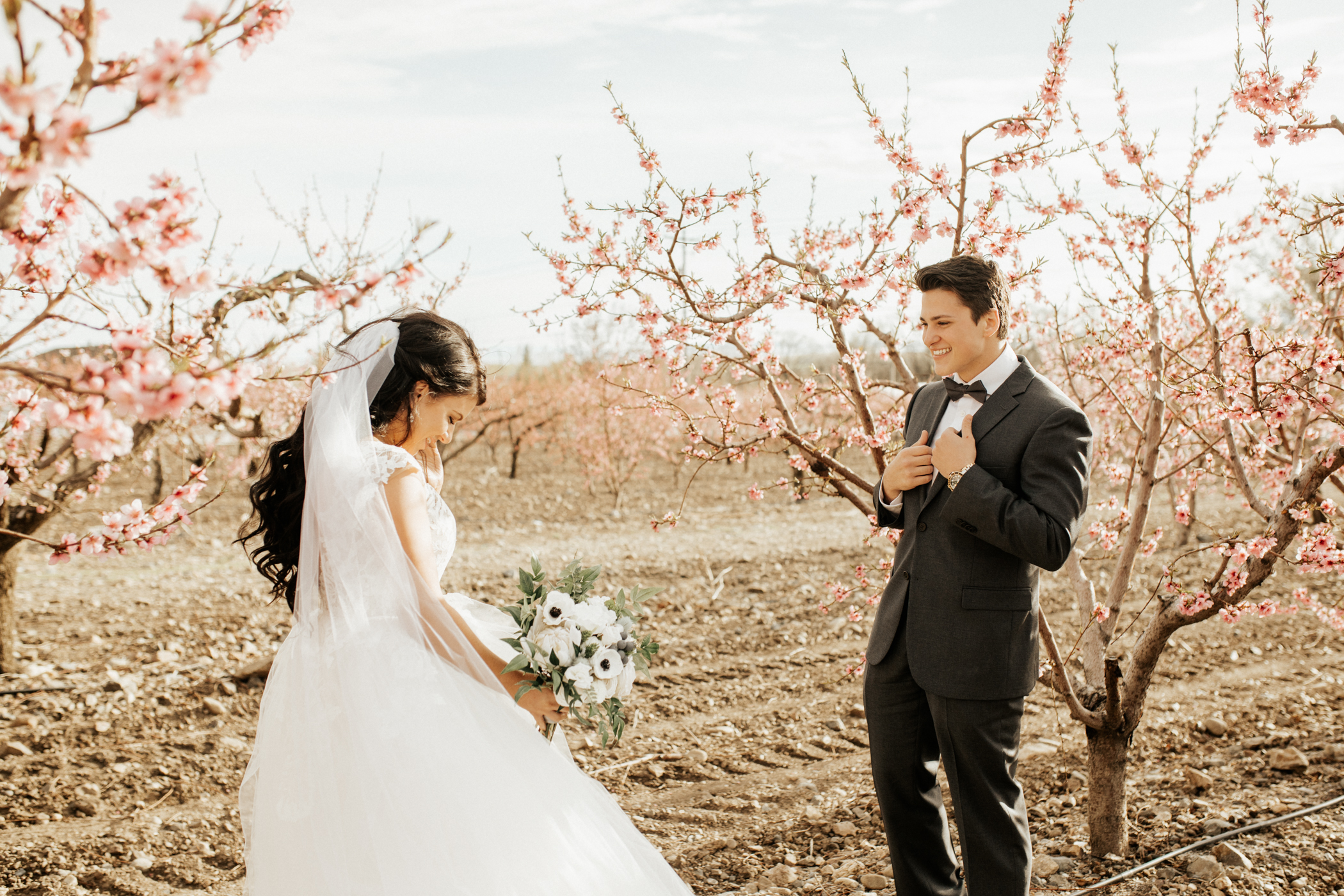 spring orchard wedding photos