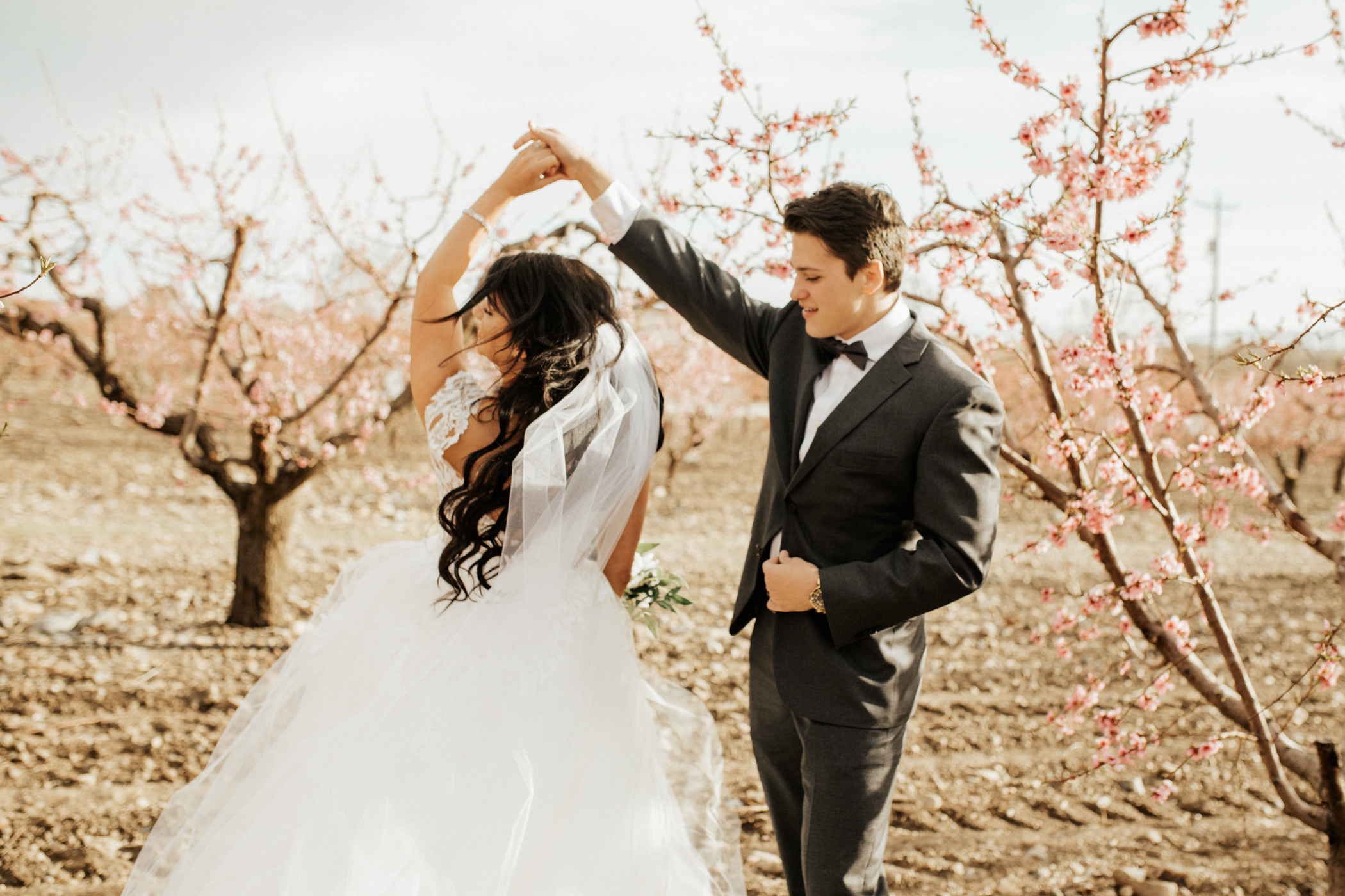 Spring blossomed orchard wedding photos