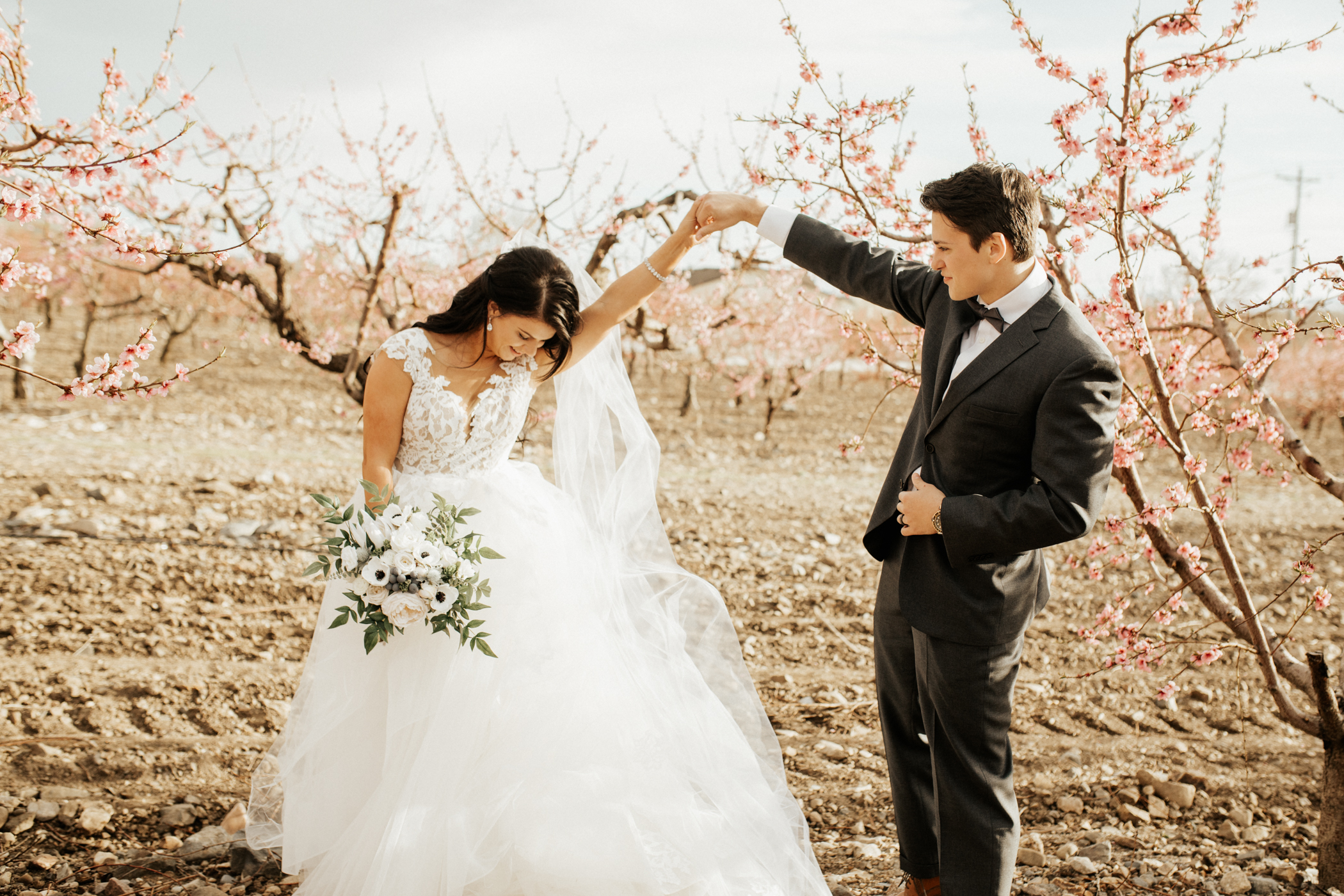 Spring blossomed orchard wedding photos