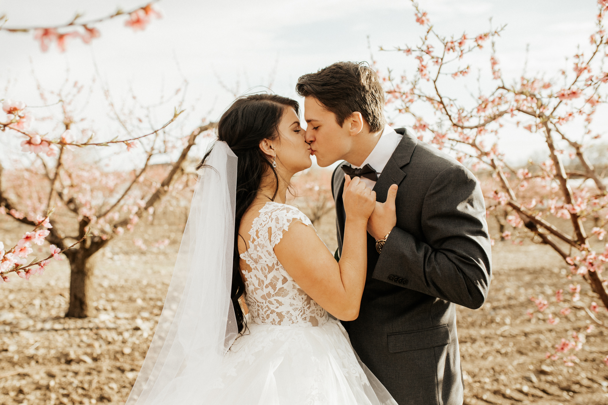 Spring blossomed orchard wedding photos
