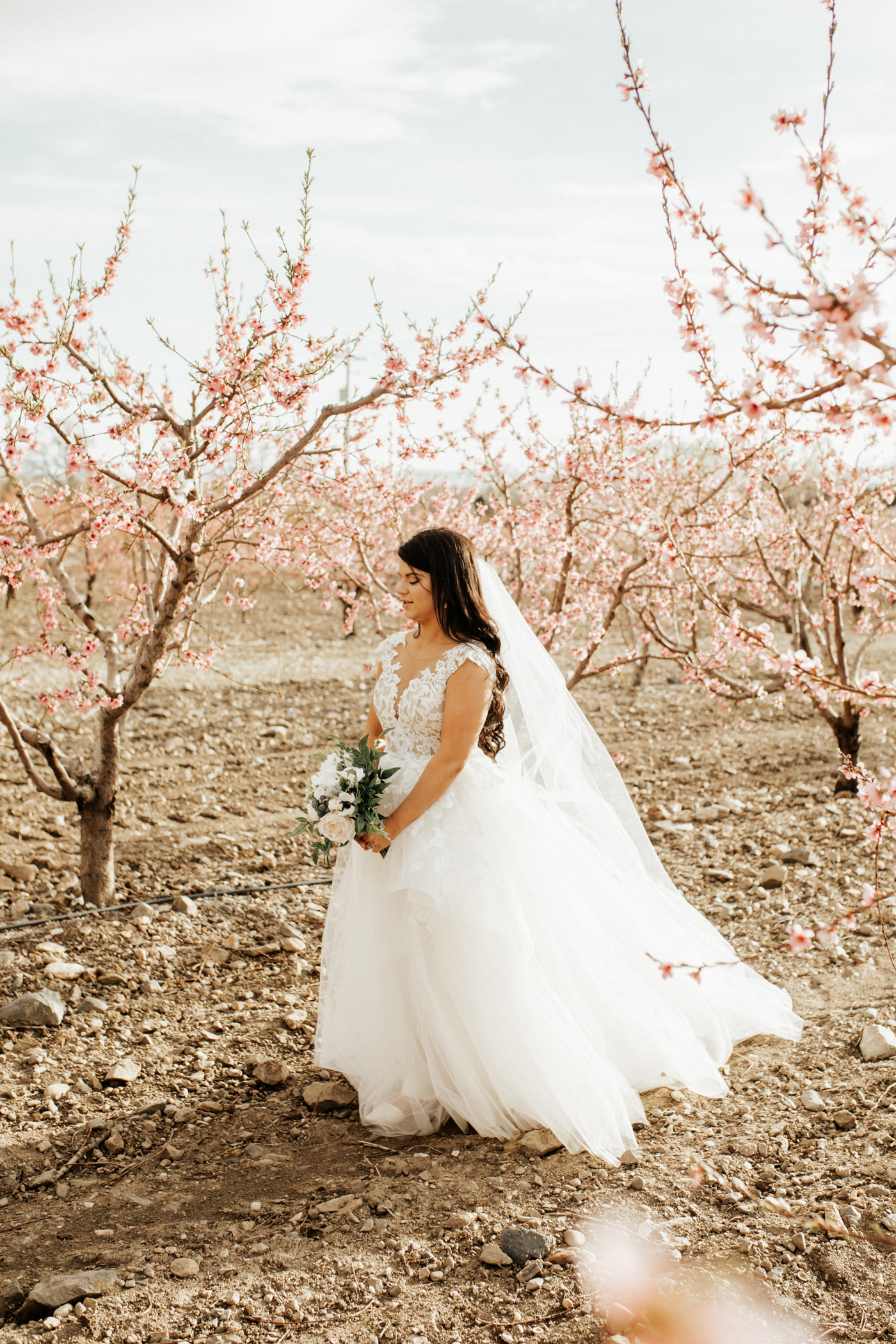 Spring orchard wedding photos