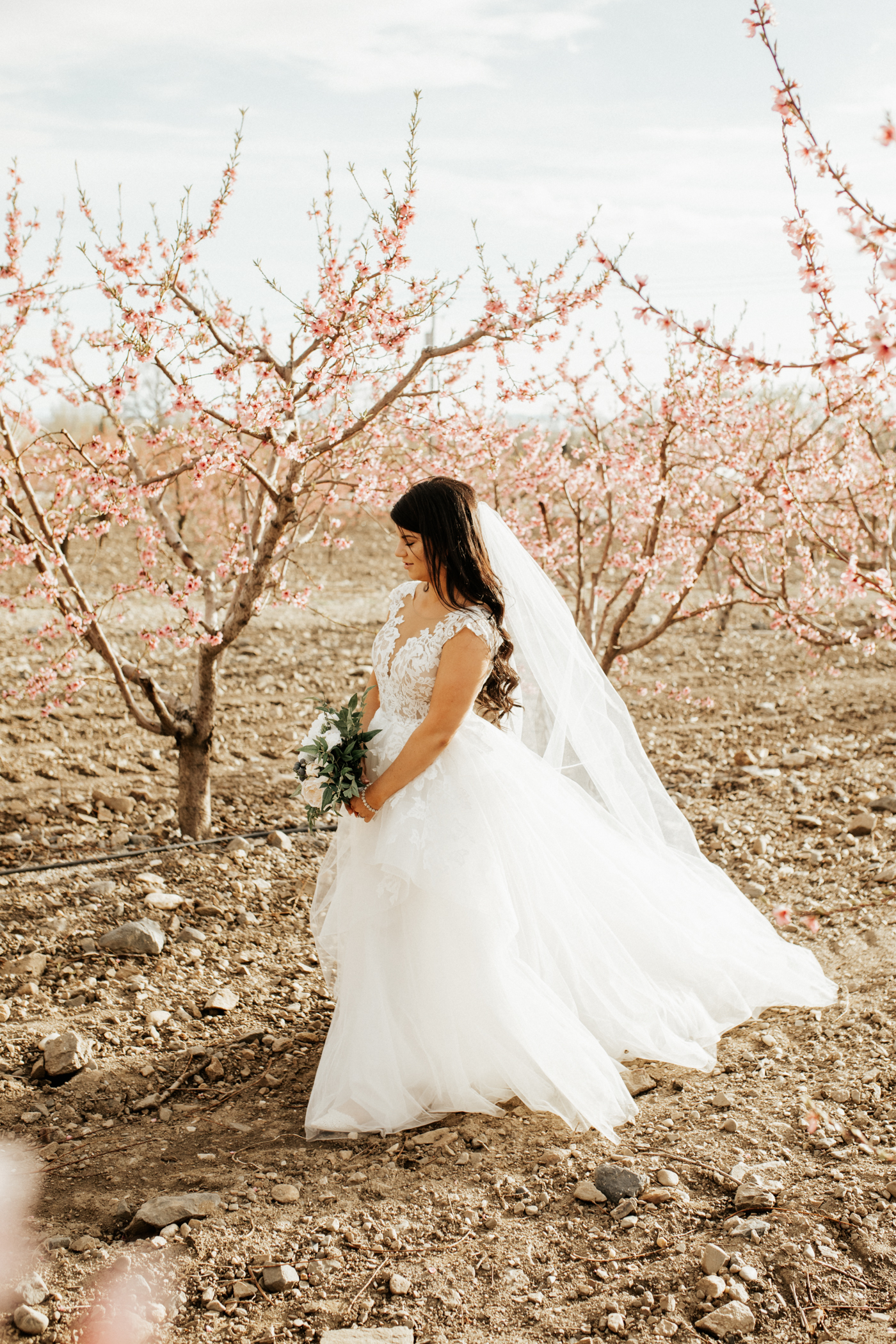 Spring orchard wedding photos
