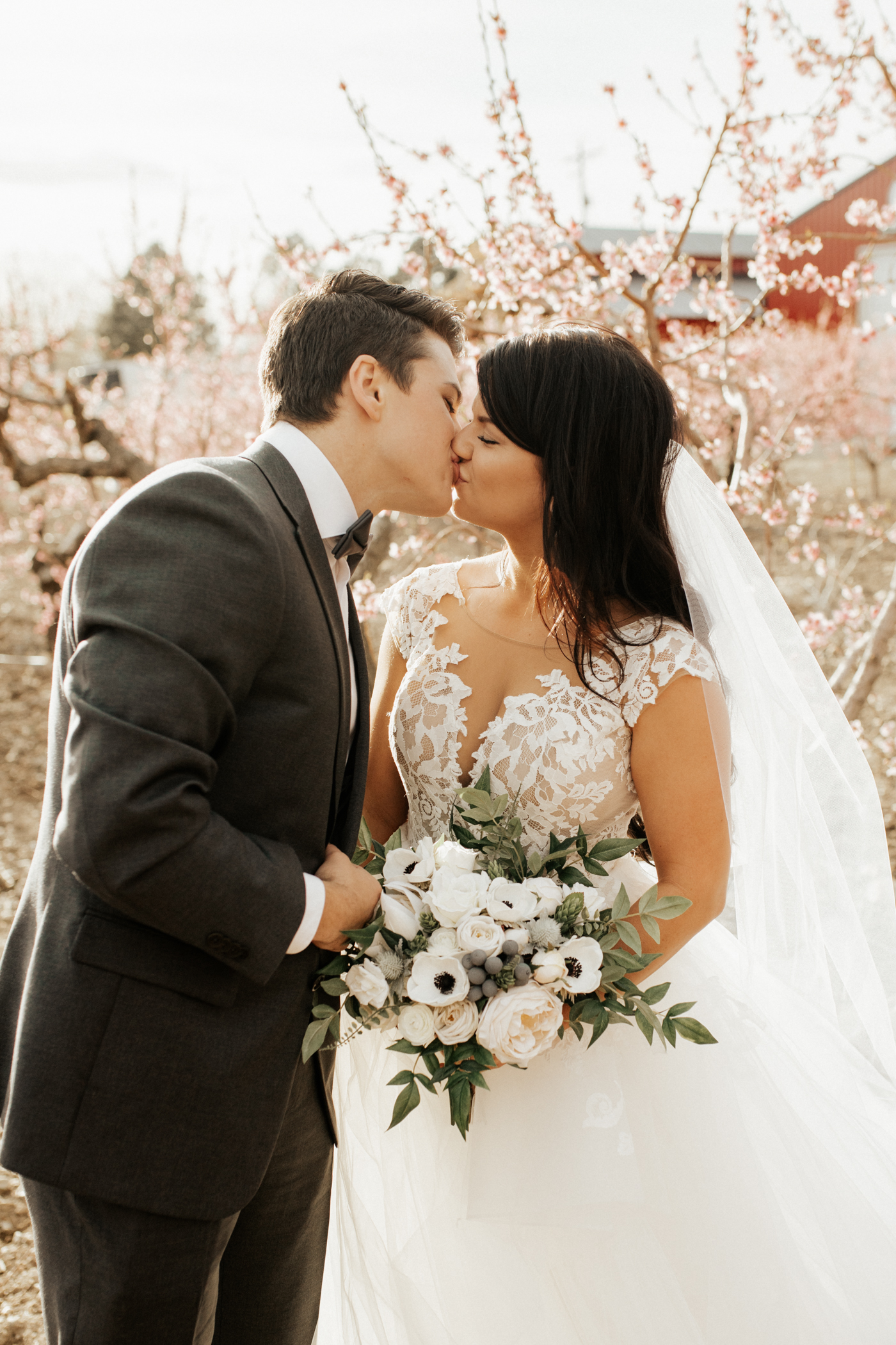 Spring blossomed orchard wedding photos