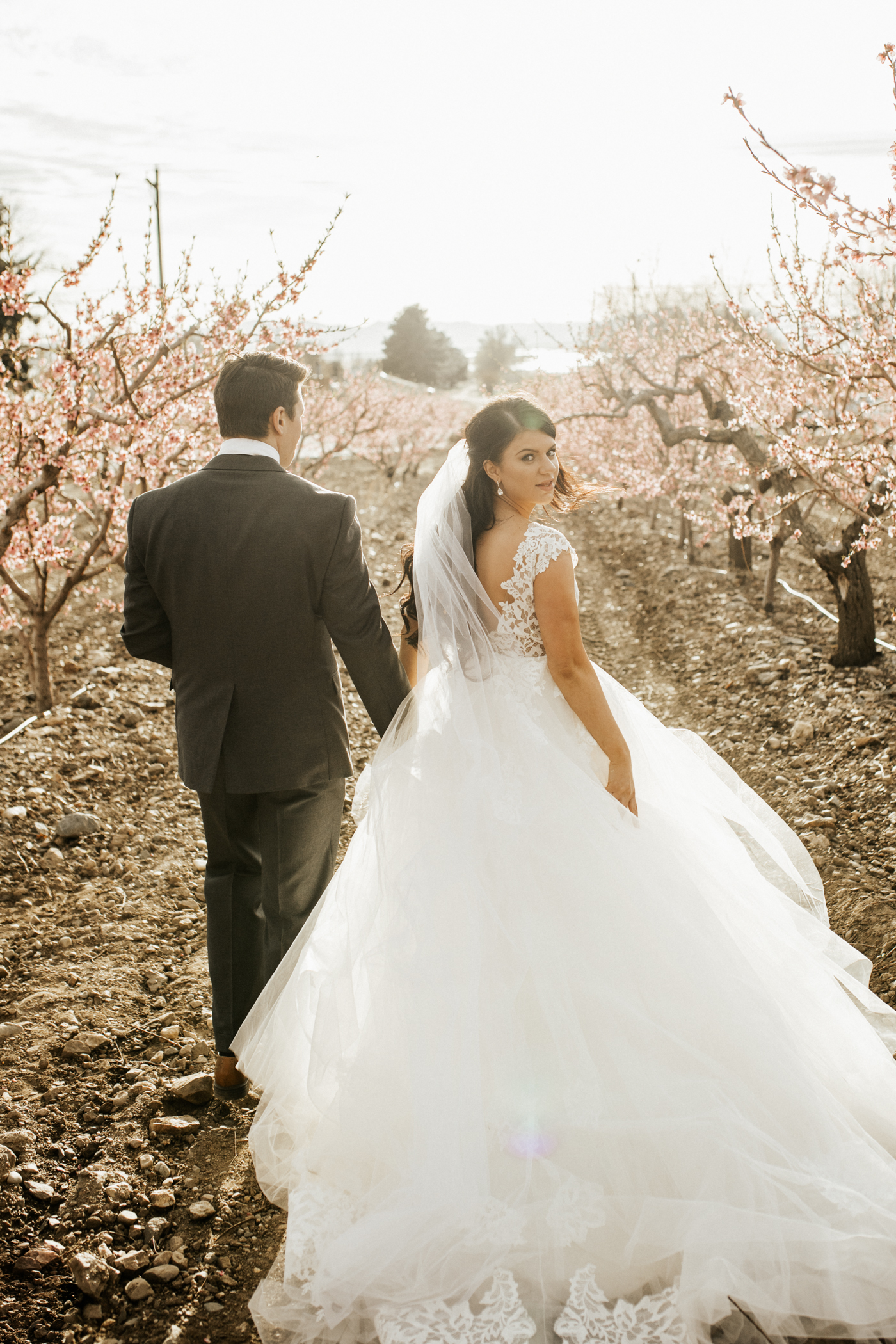 spring blossomed orchard wedding photos