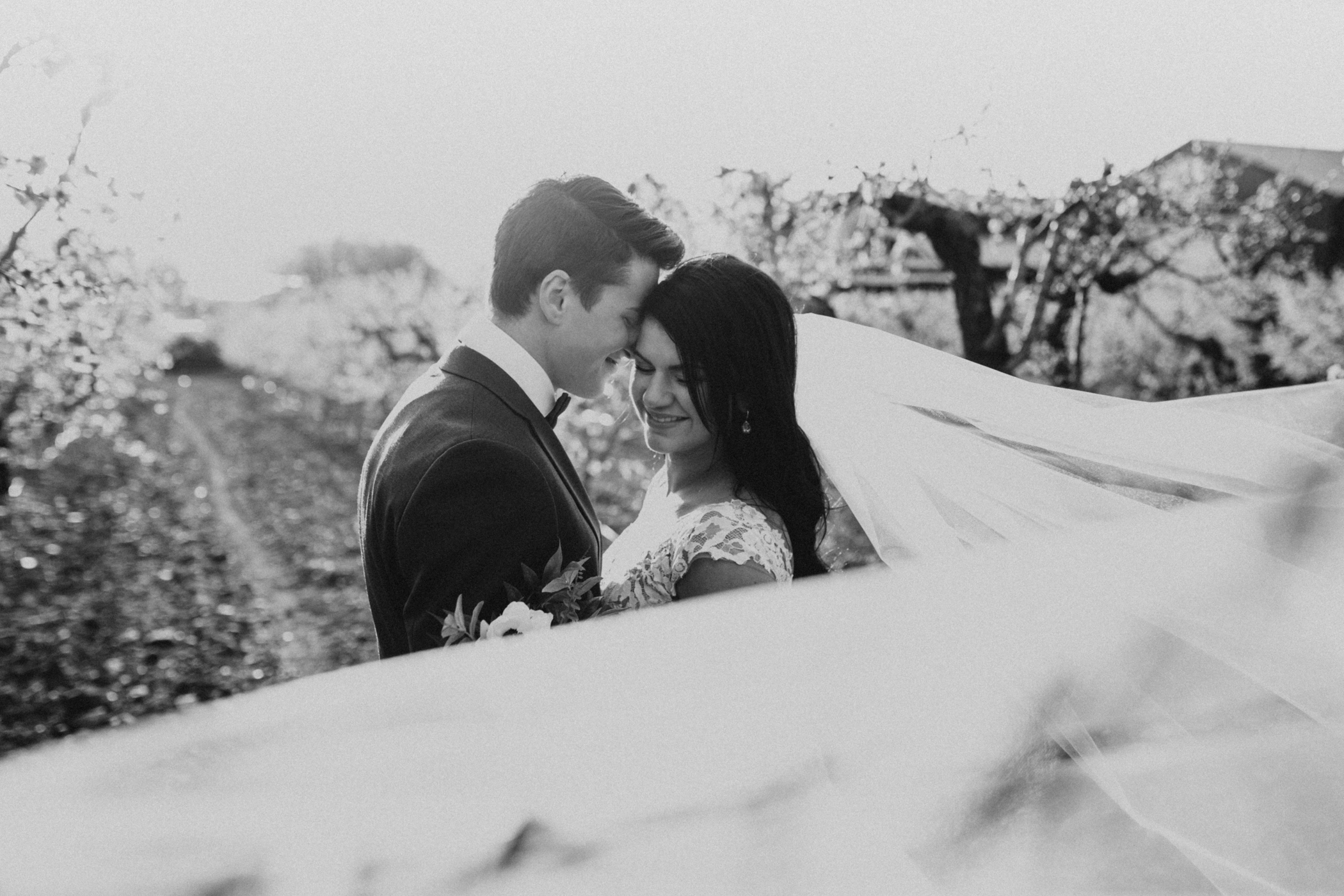 spring blossomed orchard wedding photos