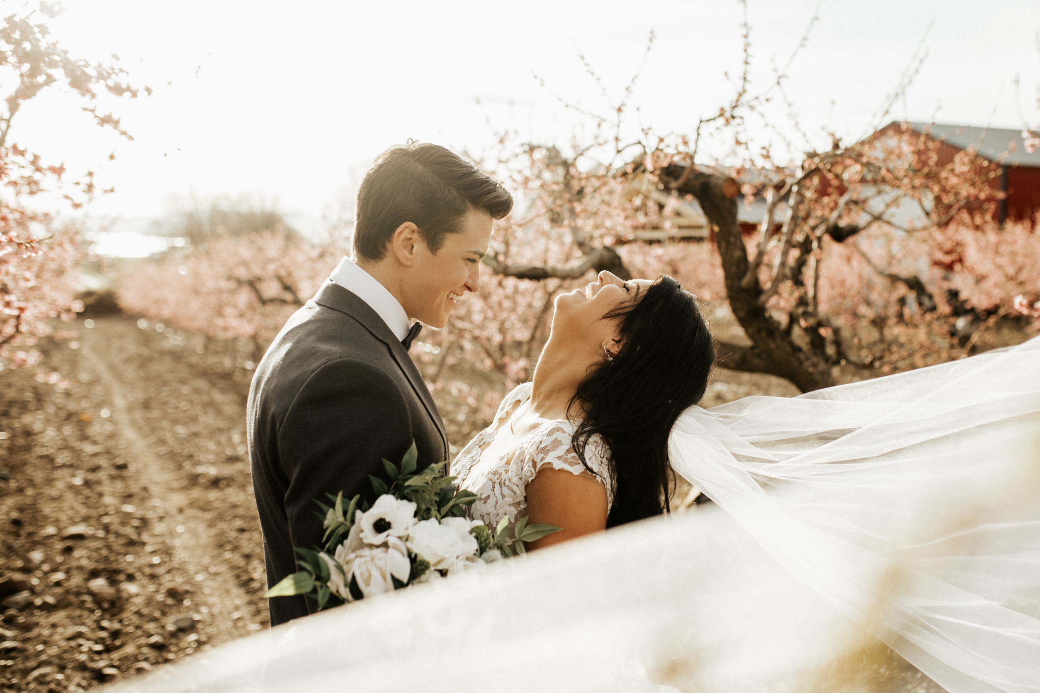 spring blossomed orchard wedding photos