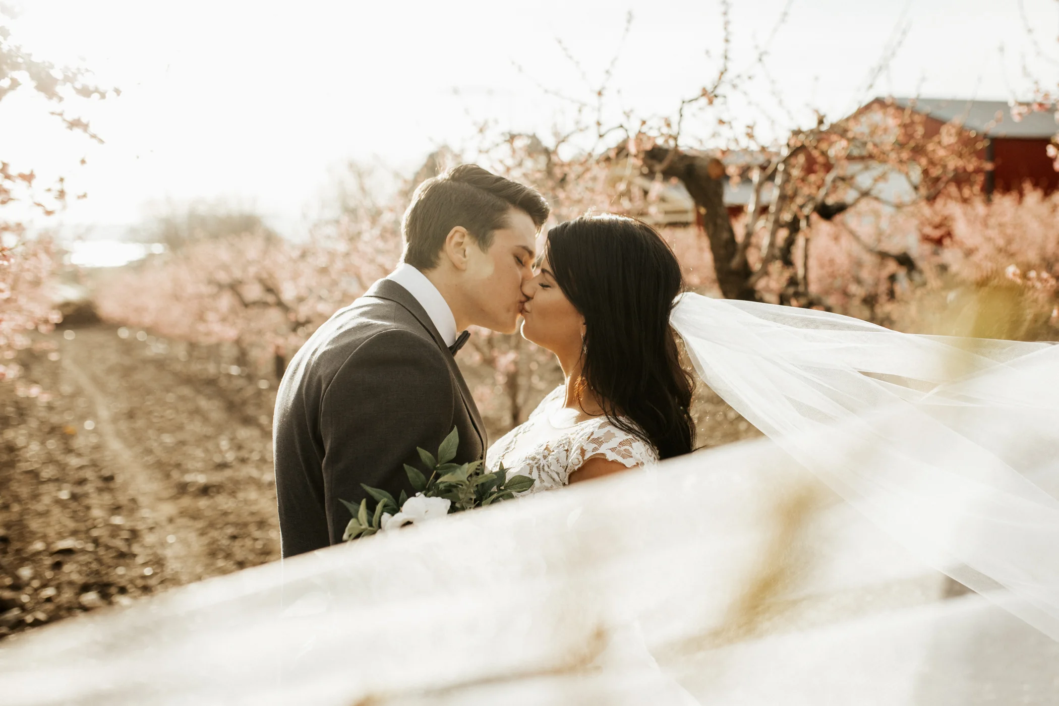 spring blossomed orchard wedding photos