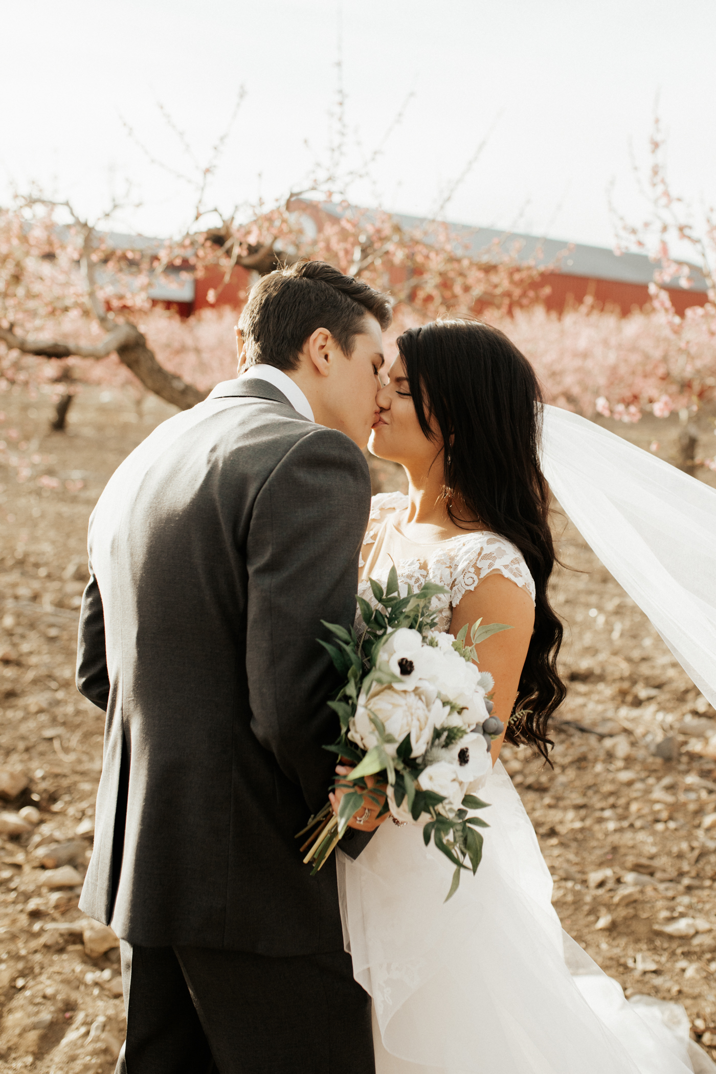 spring blossomed orchard wedding photos