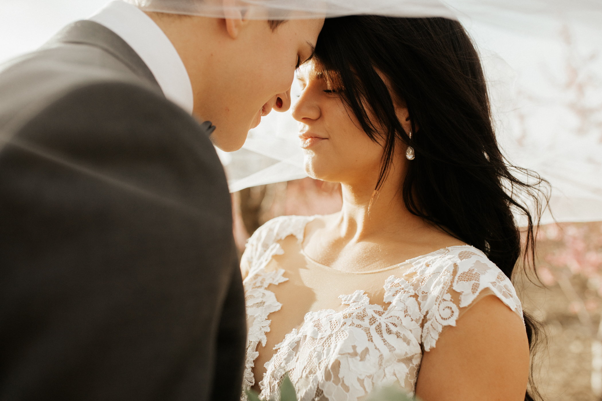 Spring blossomed orchard wedding photos