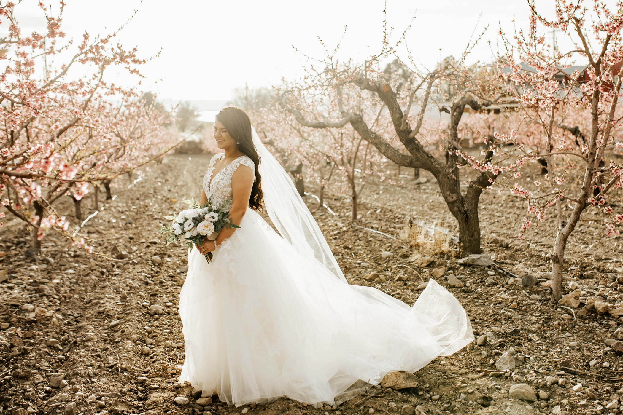 spring blossomed orchard wedding photos