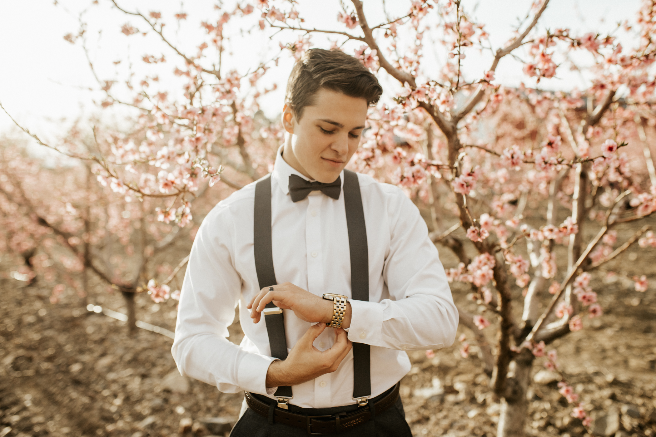 spring blossomed orchard wedding photos