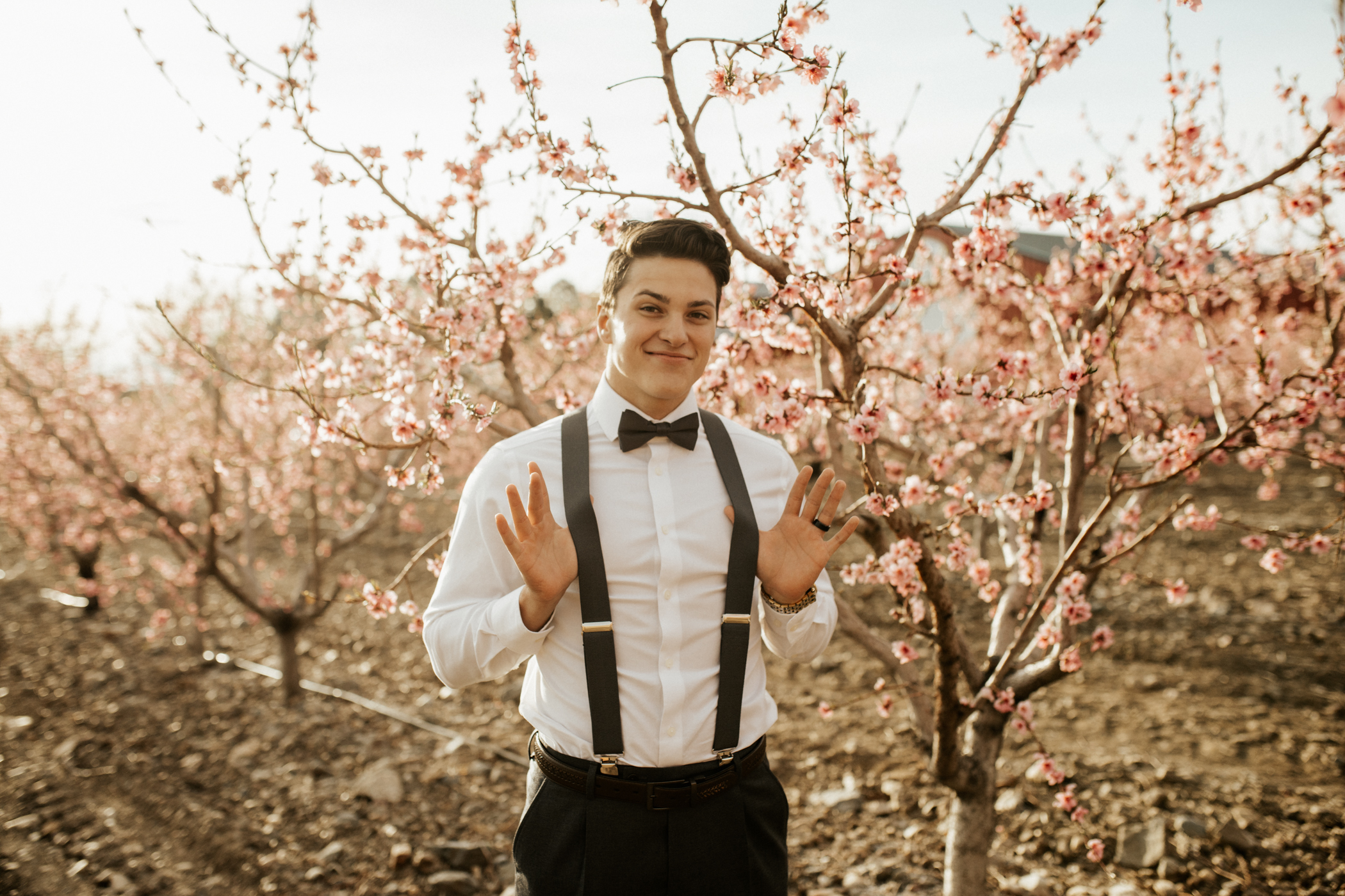 spring blossomed orchard wedding photos