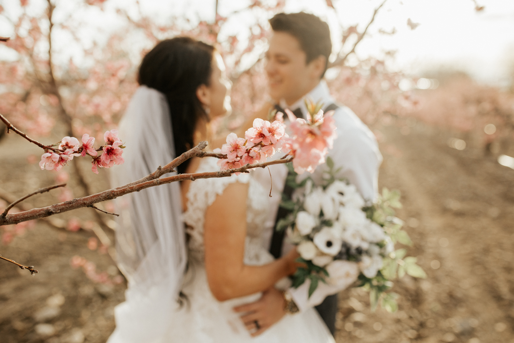 spring blossomed orchard wedding photos
