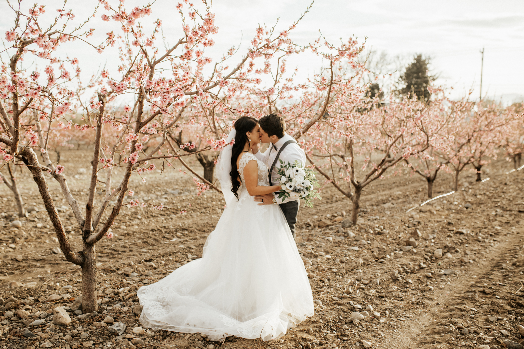 spring blossomed orchard wedding photos