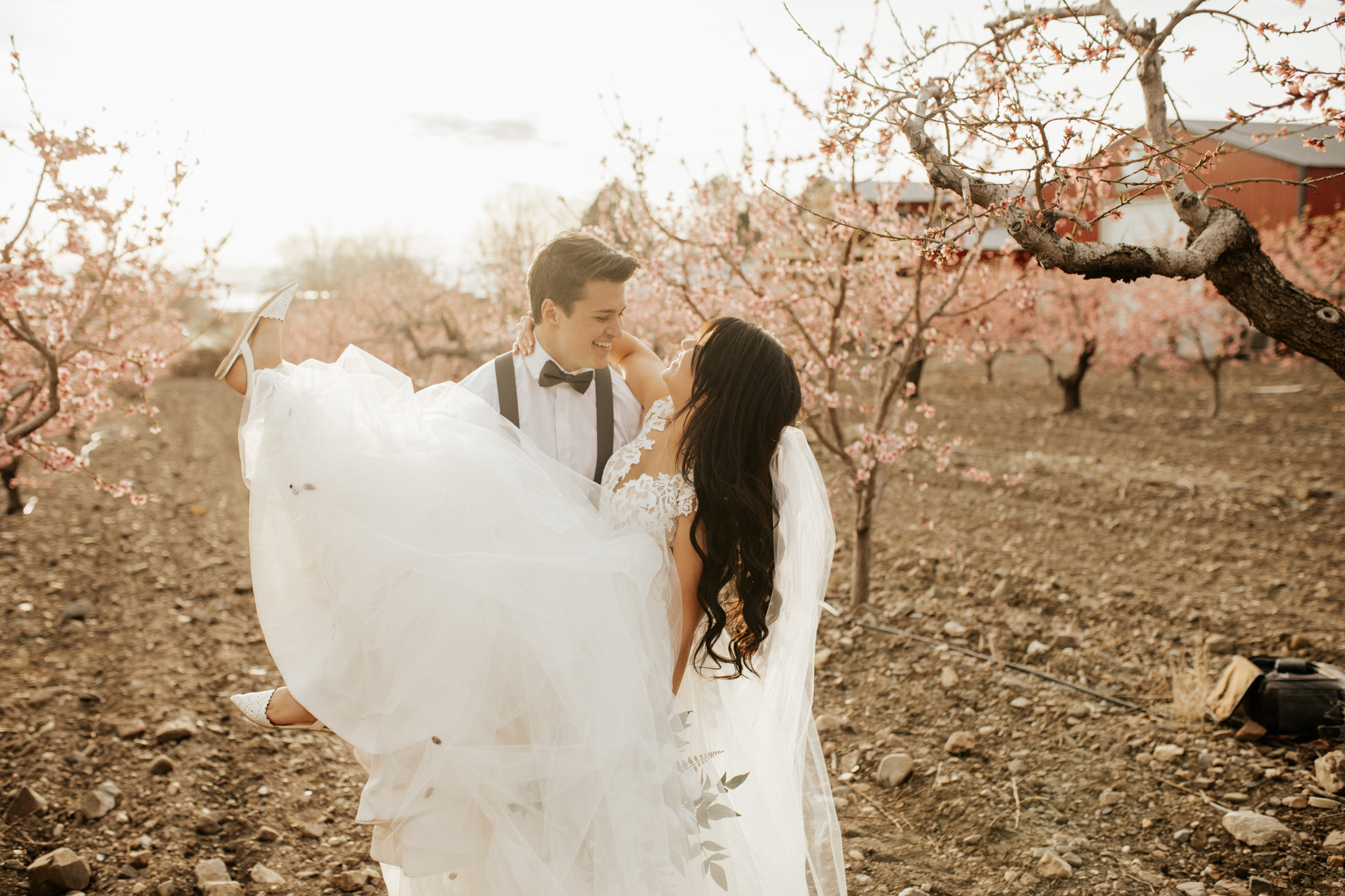 spring blossomed orchard wedding photos