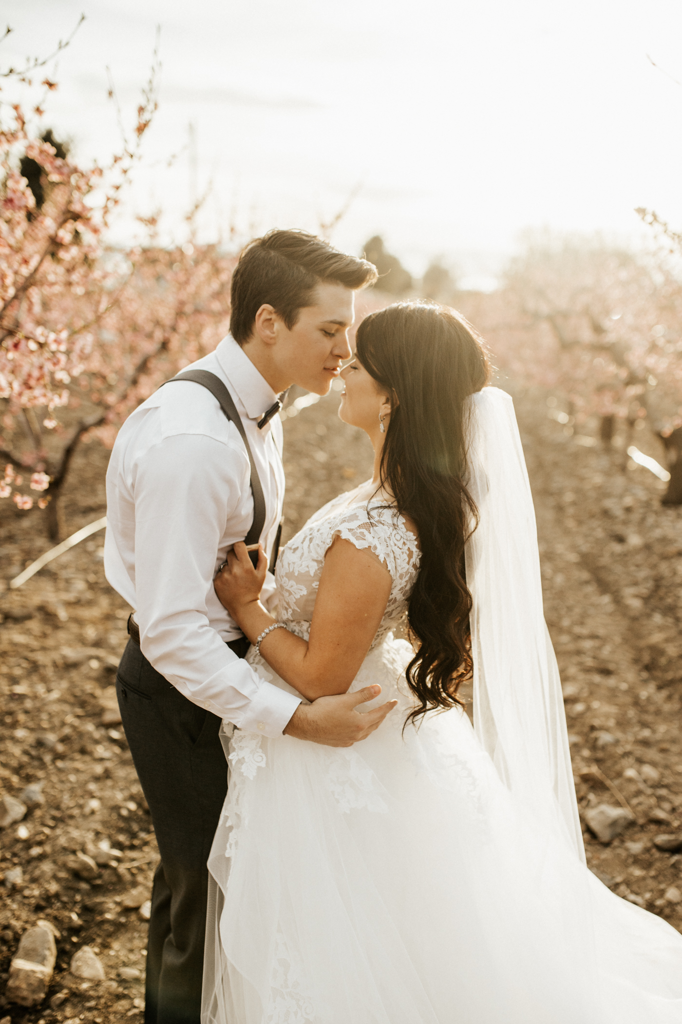 spring blossomed orchard wedding photos