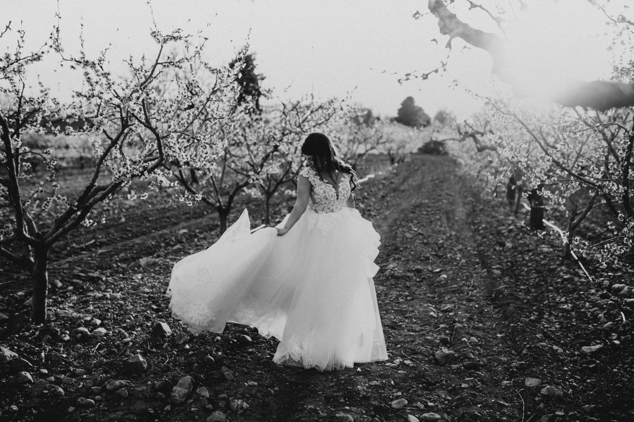 spring blossomed orchard wedding photos