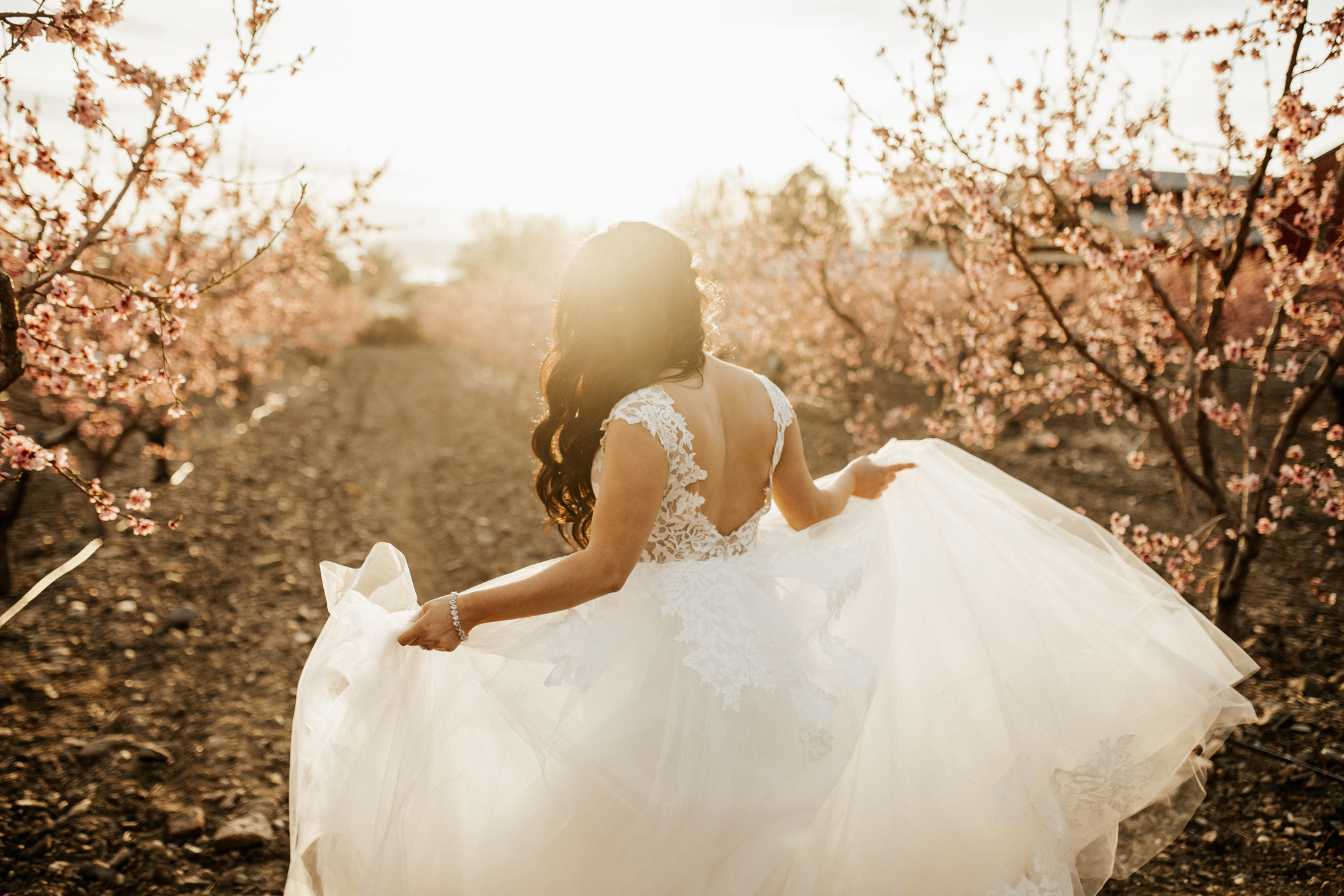 spring blossomed orchard wedding photos