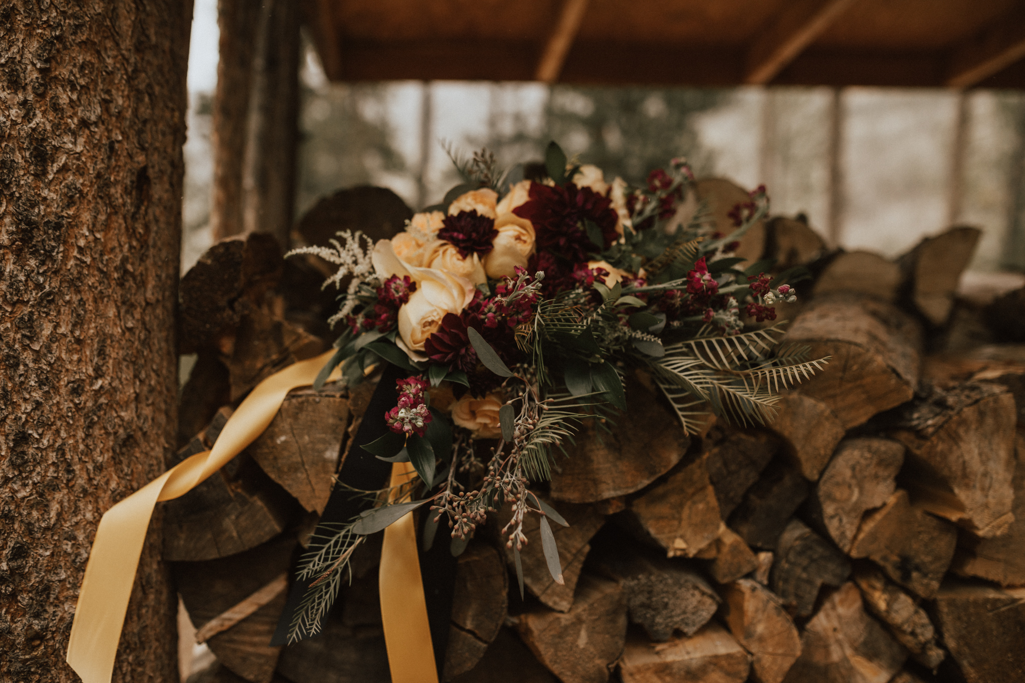 fall mountain cabin elopement wedding