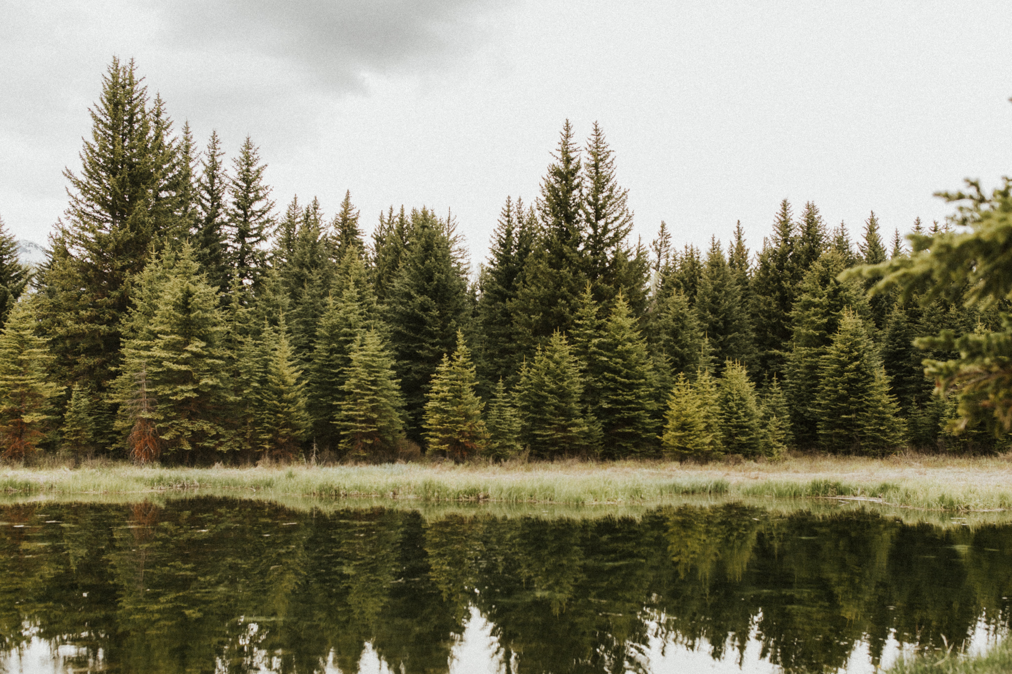 Jackson Wyoming Elopement at Schwabachers Landing