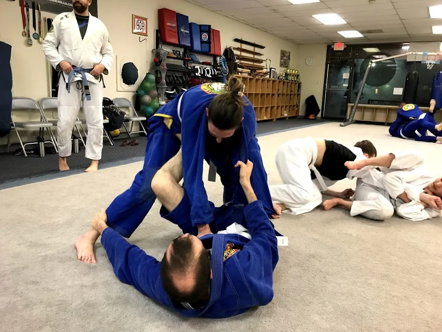 BJJ 2.jpg