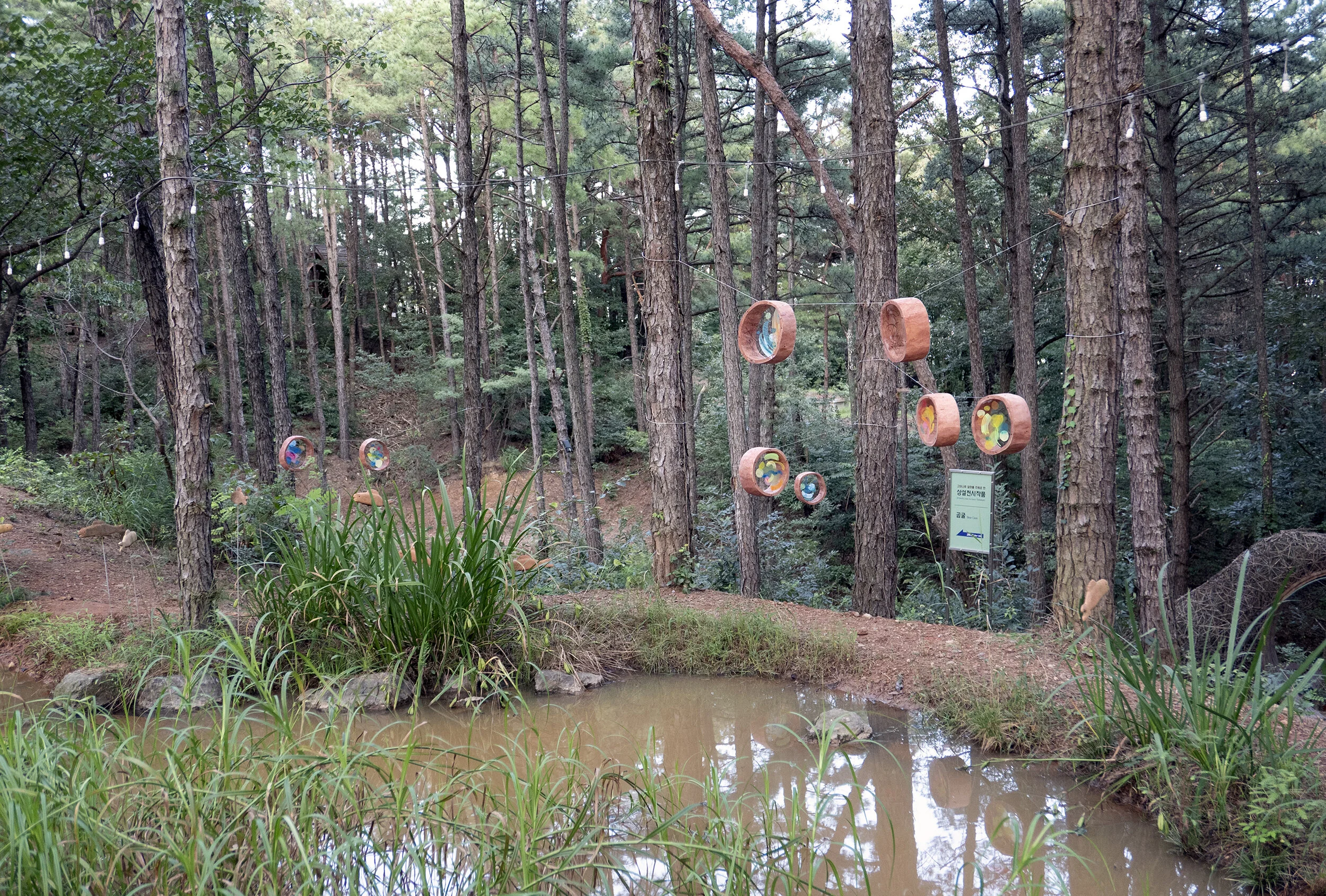  ㅤㅤㅤ  ㅤㅤㅤ   