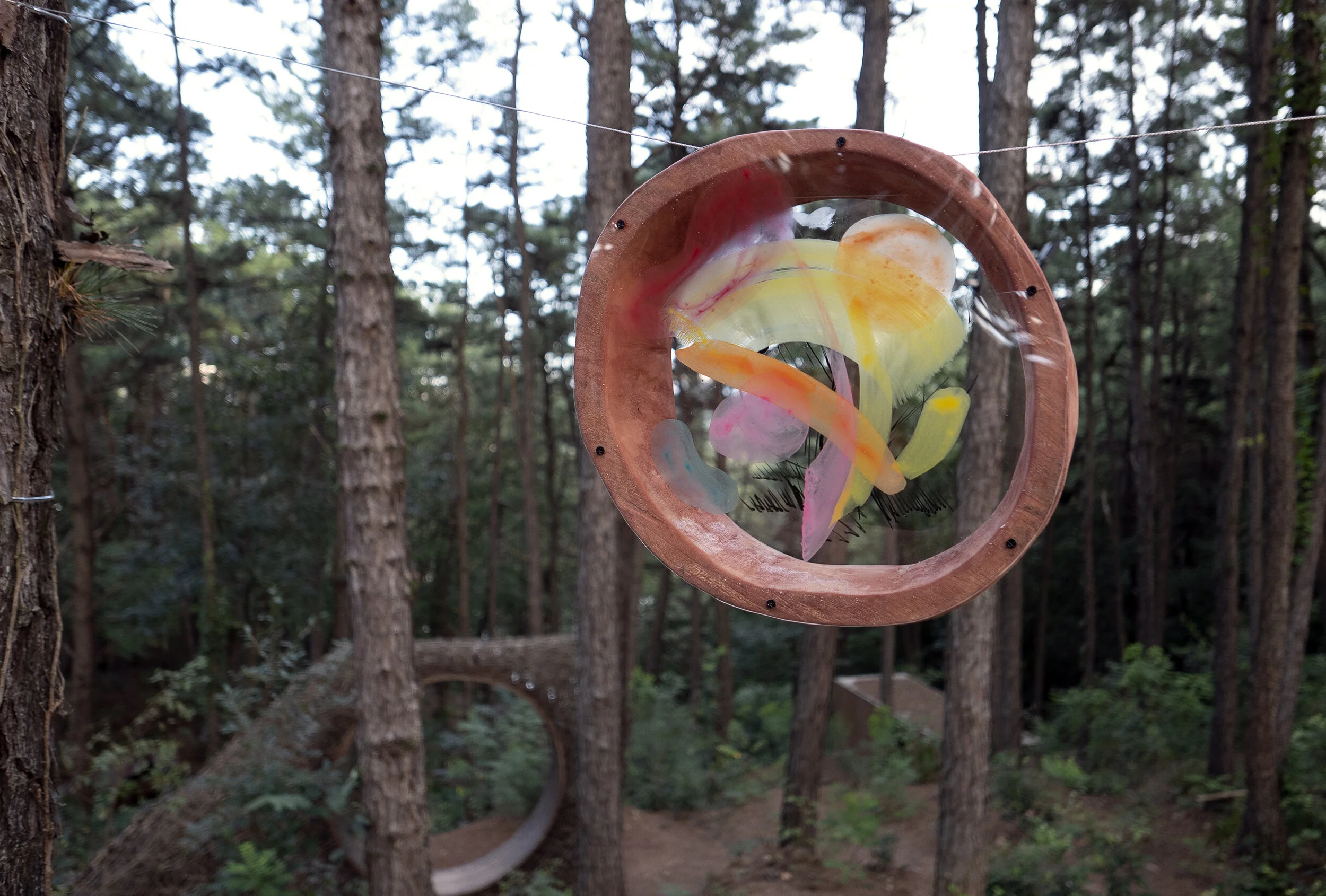  ㅤㅤㅤ  ㅤㅤㅤ   