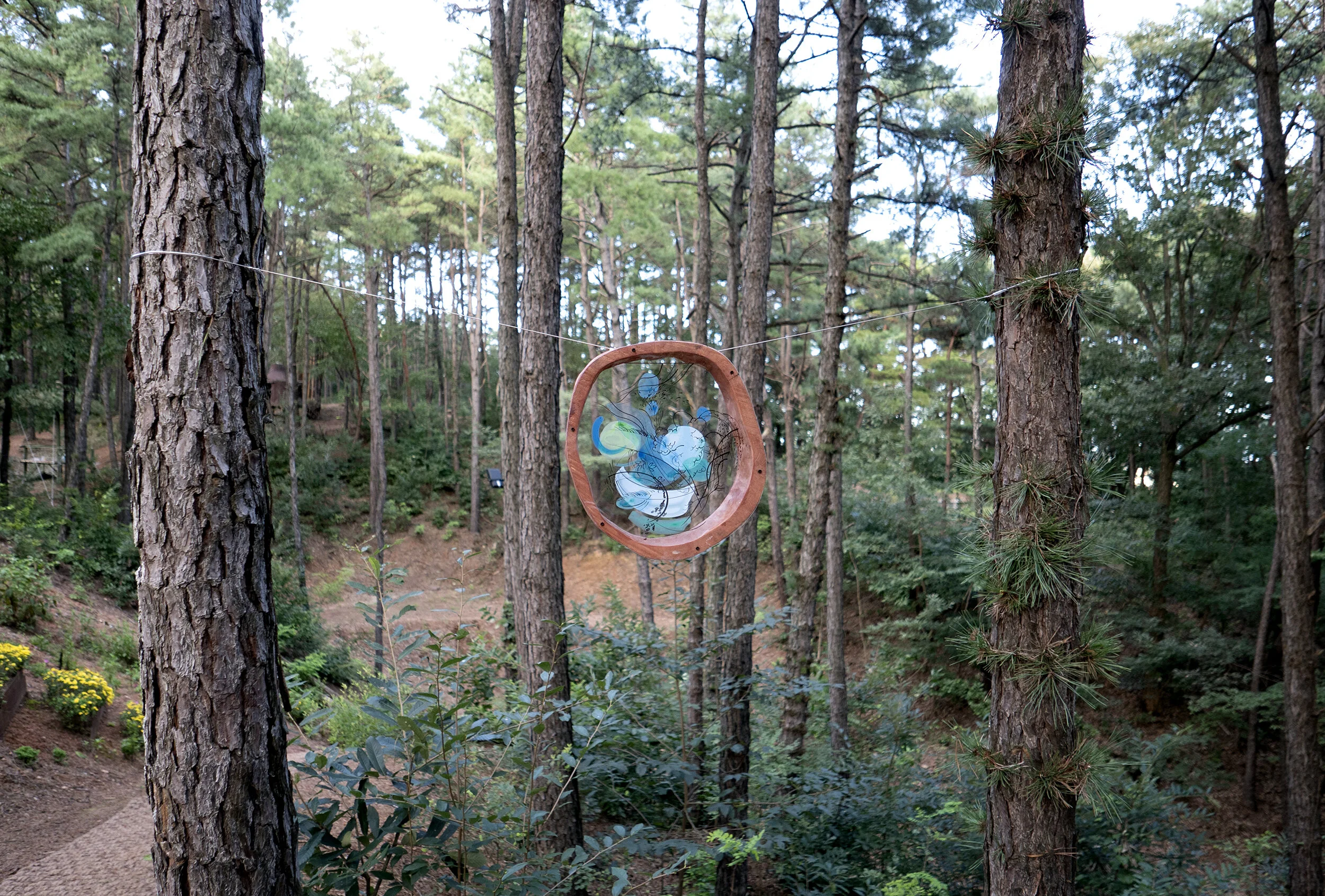  ㅤㅤㅤ  ㅤㅤㅤ   