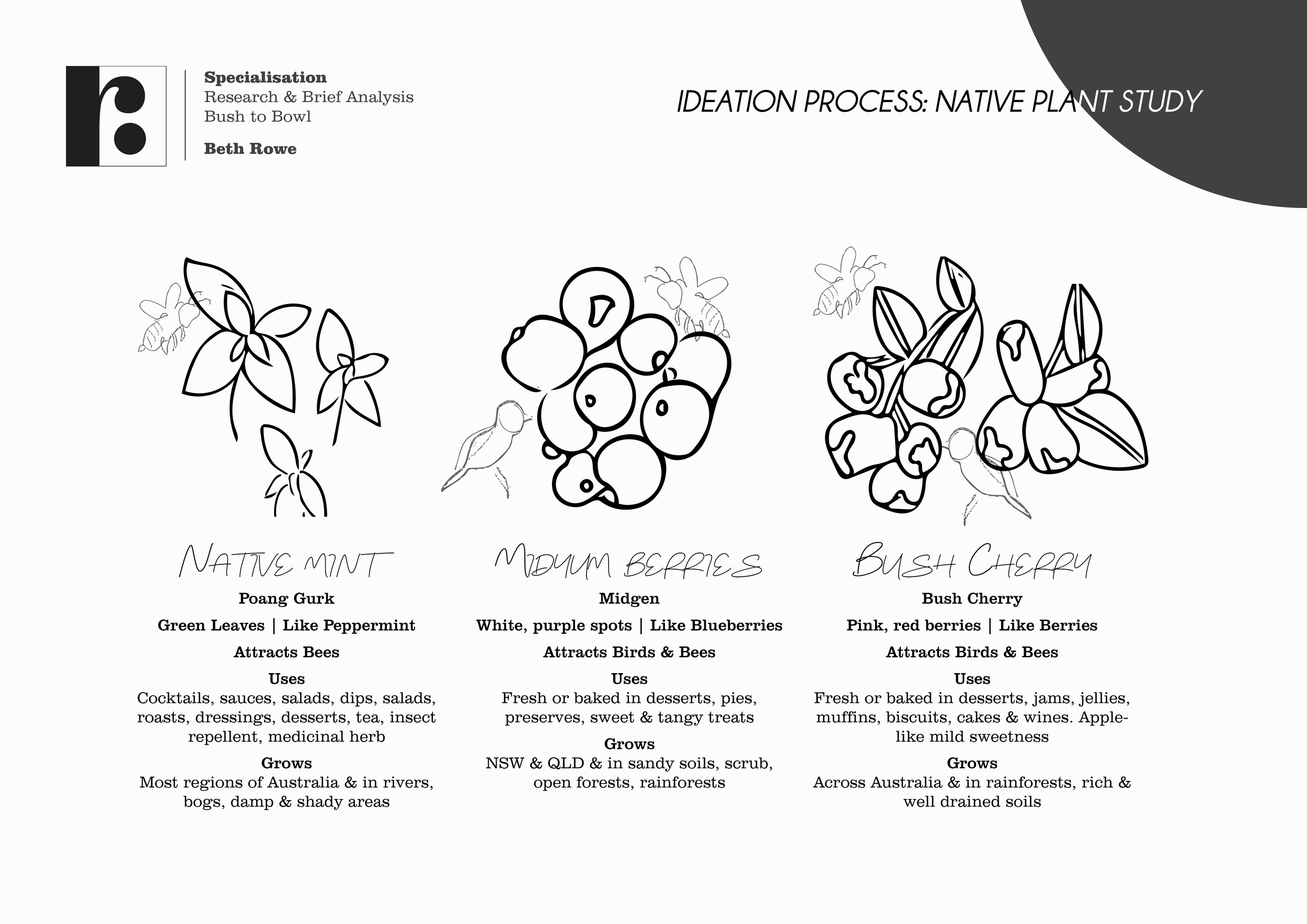 SP_A2A_BethRowe_00260572T4.png