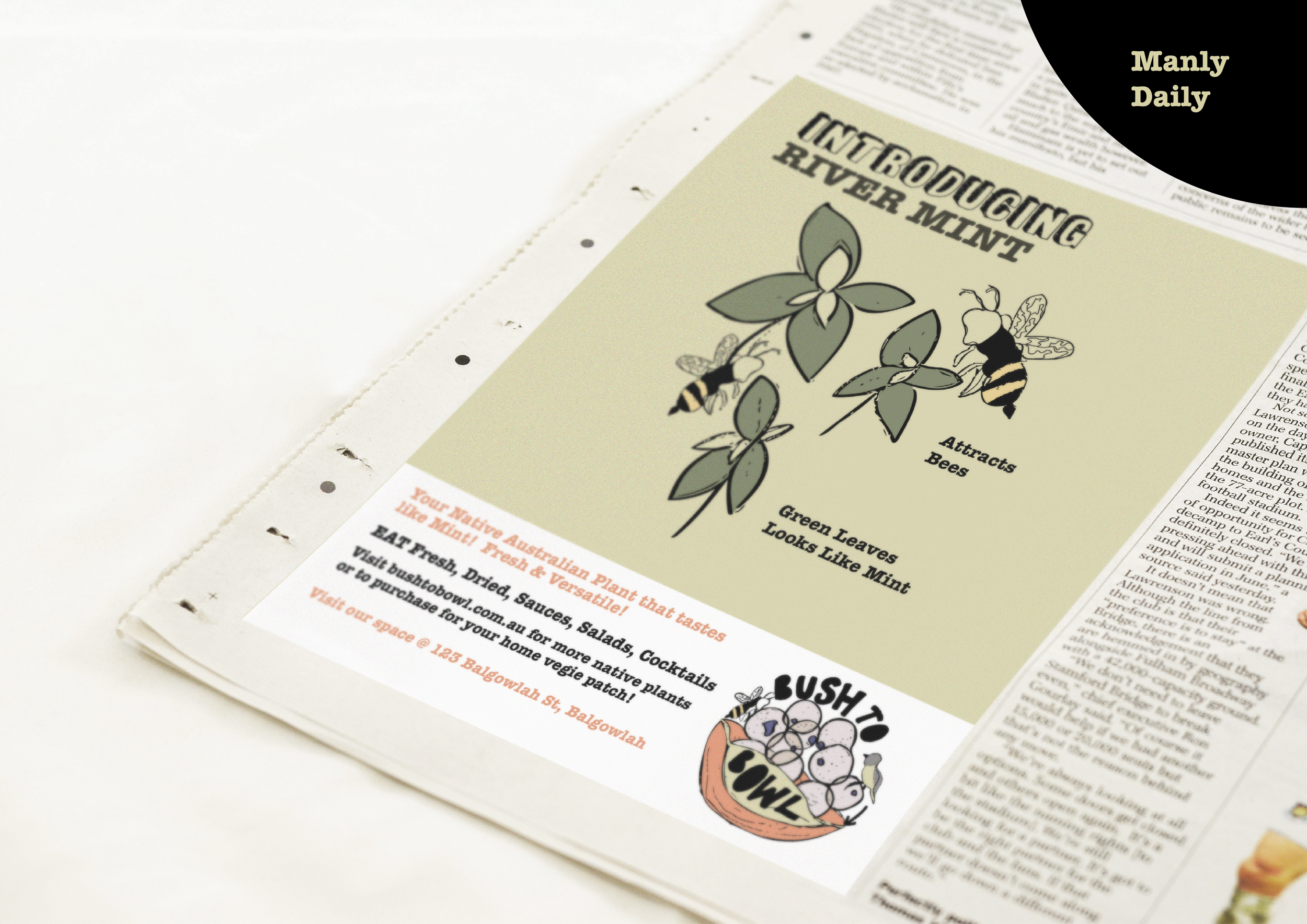 SP_A2B_BethRowe_00260572T16.png