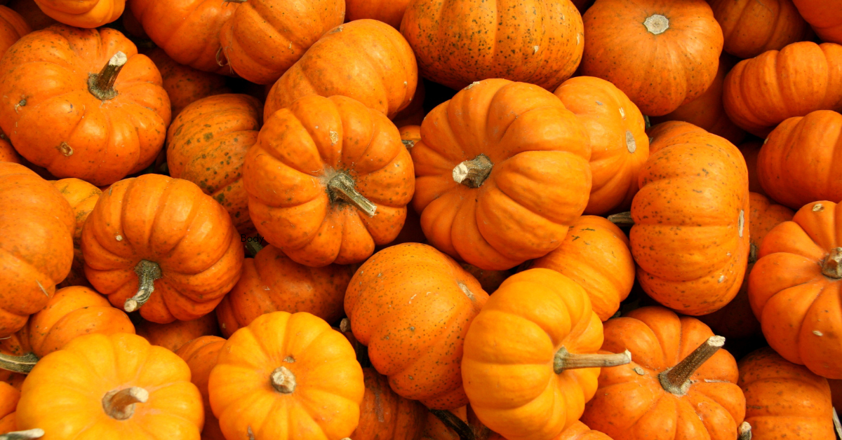 Pumpkin: The Fruit That Became Fall's Favorite Vegetable