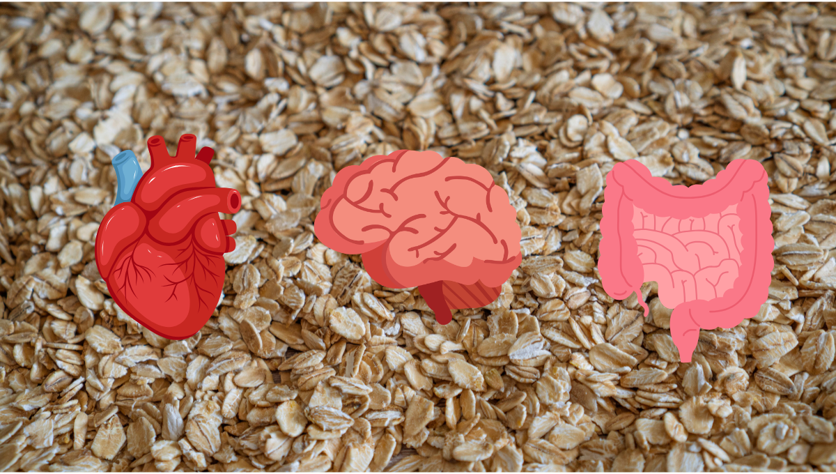 Oats: The Overlooked Grain That Enhances Your Brain, Reduces Inflammation, and Supports Your Heart and Gut