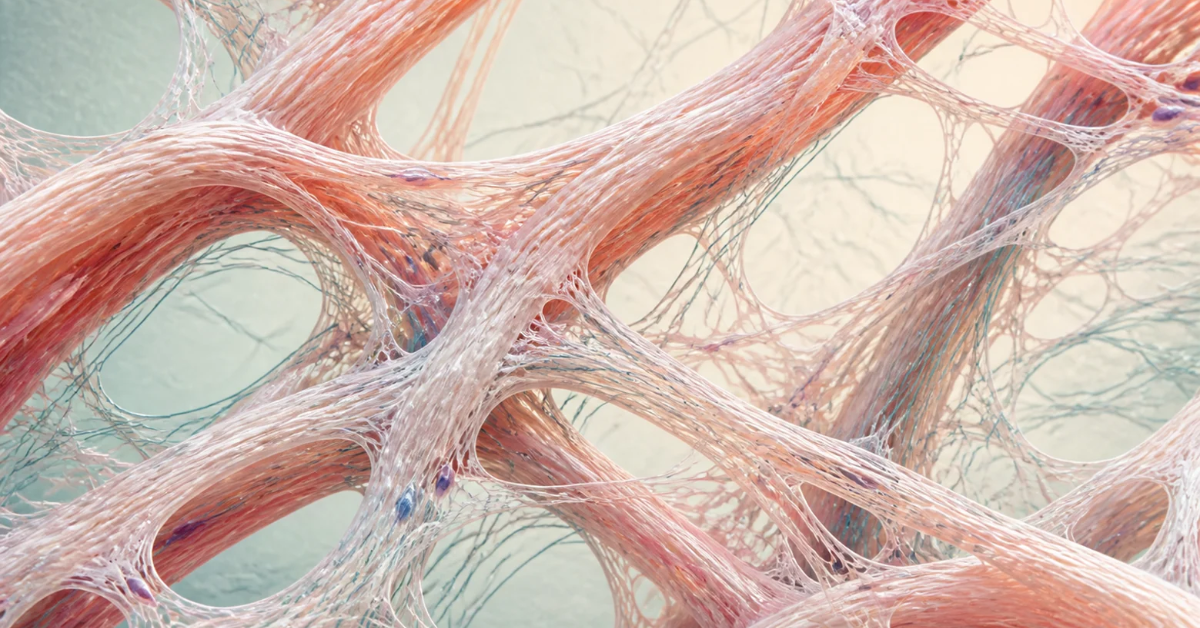 Your Fascia: The Missing Link to Movement, Pain, and Even Emotion