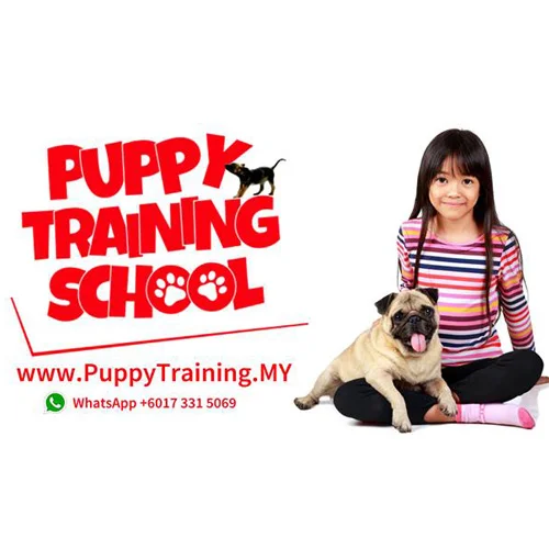 PuppyTraining.jpg
