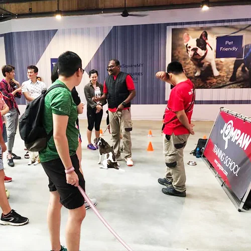 JomPaw-Training.jpg