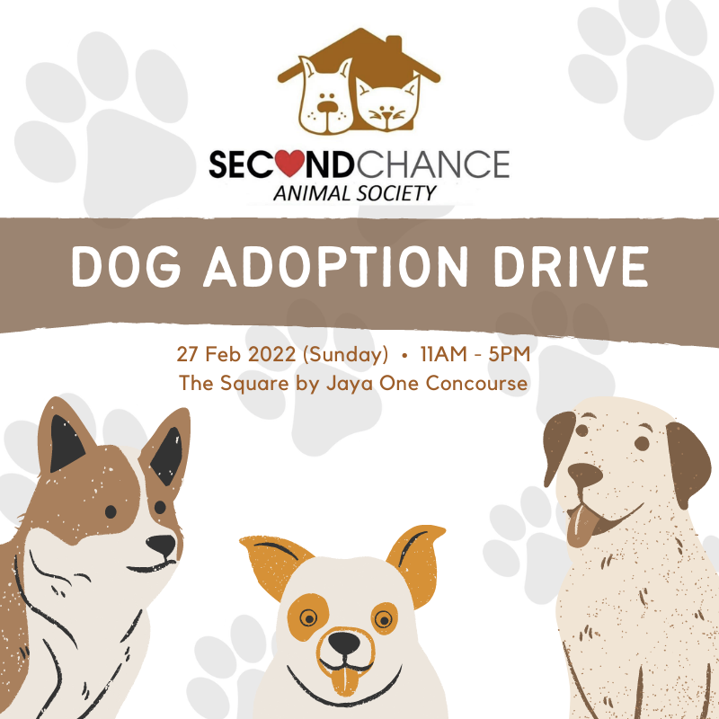 Second Chance Animal Society Dog Adoption Drive — Jaya One