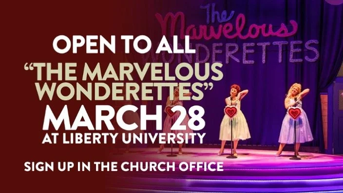 Goodyears – The Marvelous Wonderettes