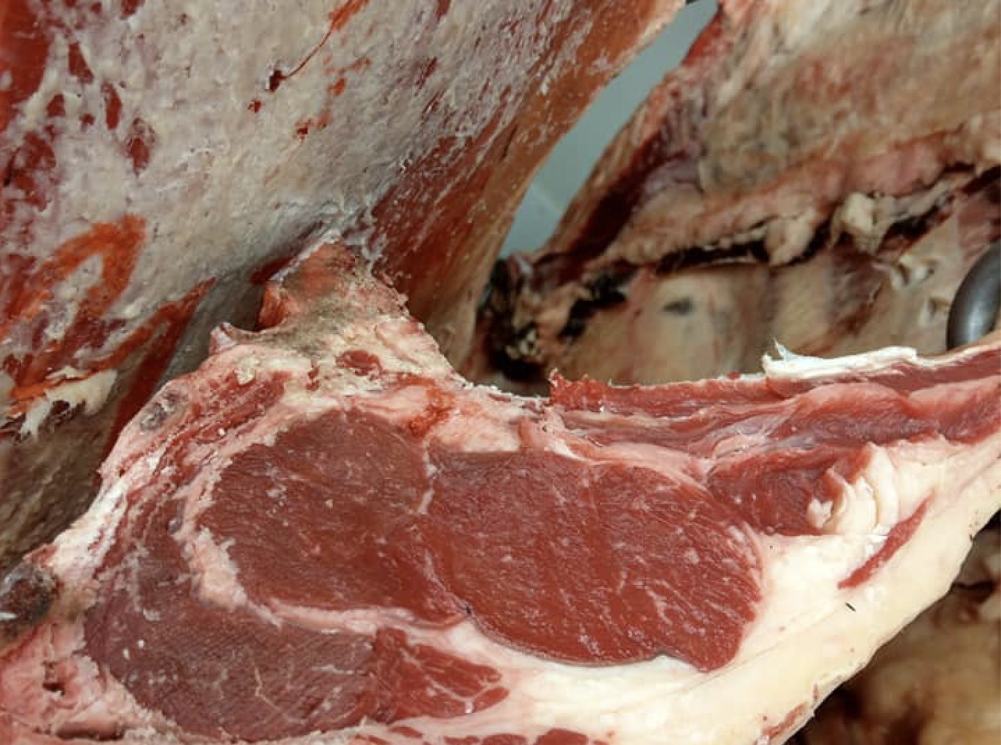 murray_river_meats_barham.png