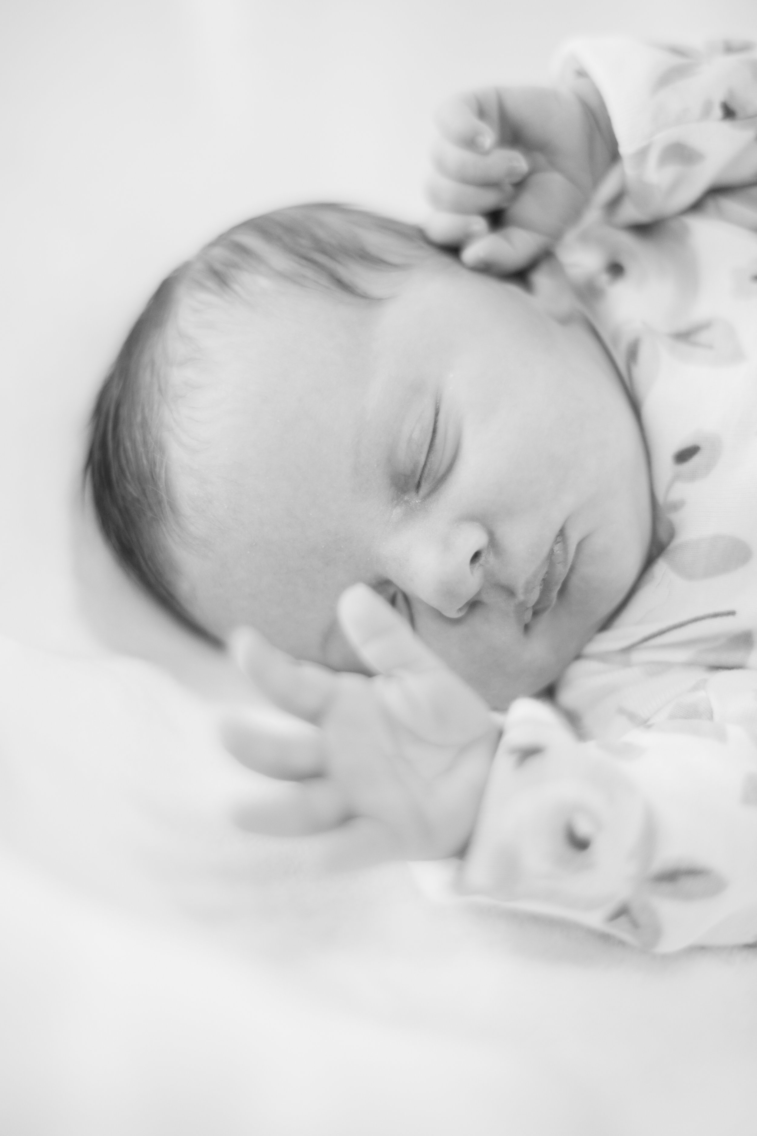D2410ABC-2139-4332-B014-D848A81A1BA2.jpeg
