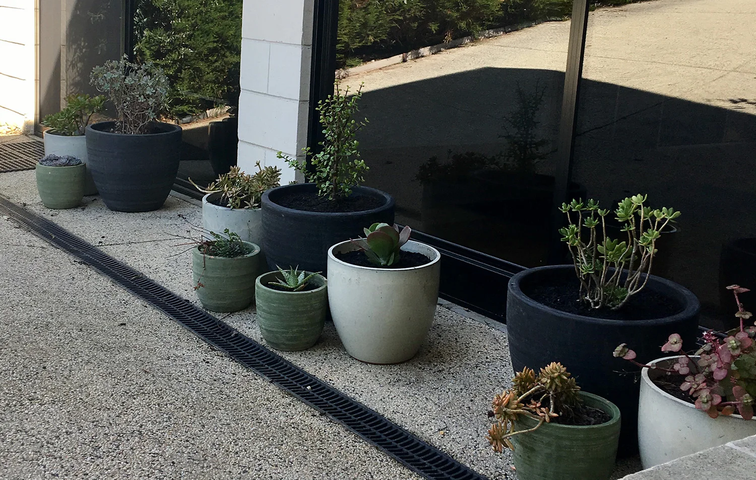 outsidestudio.jpg