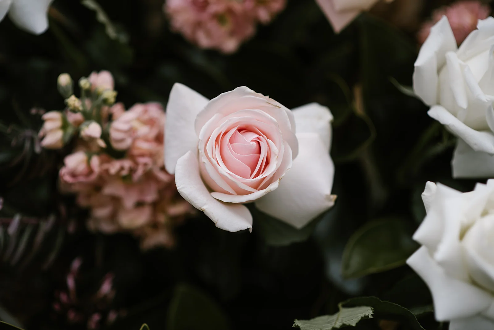 Wattle Park Styled Shoot-30.jpg