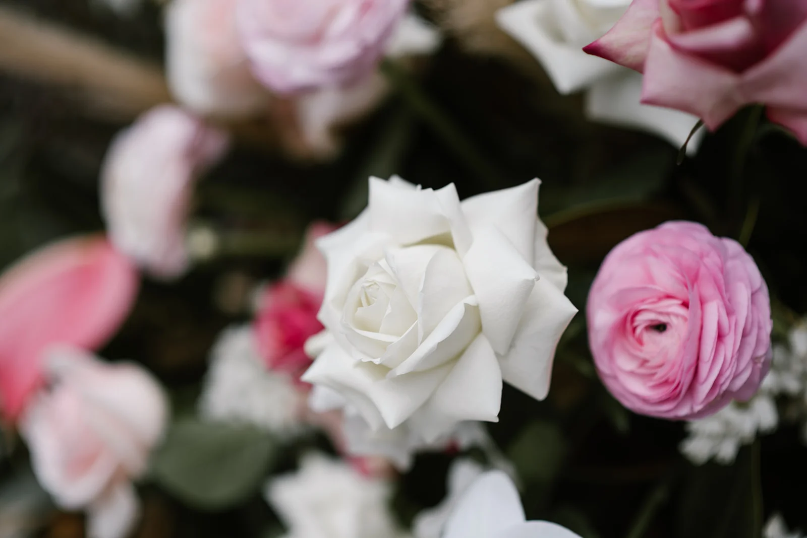 Wattle Park Styled Shoot-43.jpg