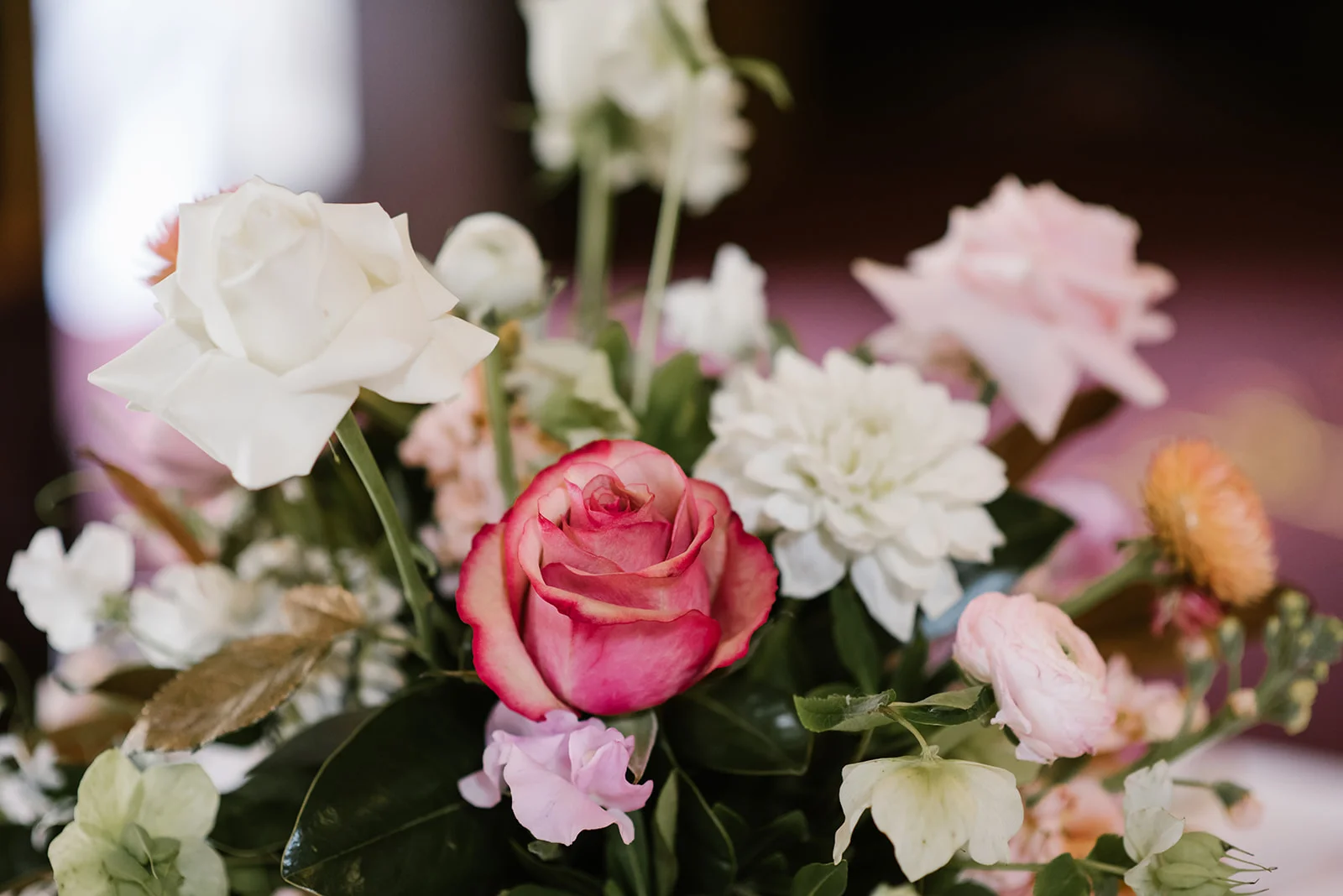 Wattle Park Styled Shoot-47.jpg