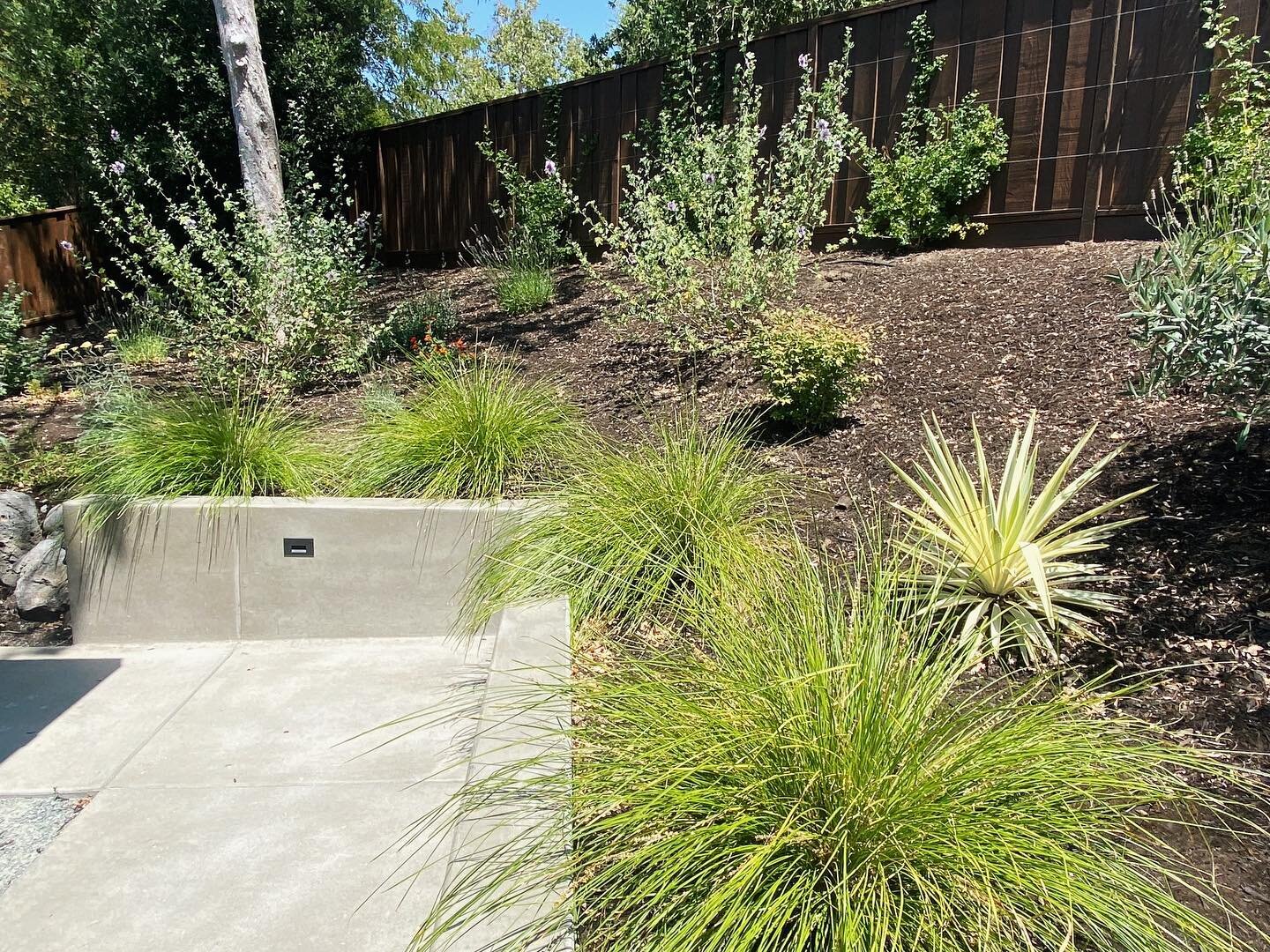 Modern AND low maintenance is the duo you never knew you needed 🔥

This is one of favorite combinations, especially for clients who value a a luxurious landscape, but aren&rsquo;t interested in constant care. Have specific needs? The GPL Team has yo